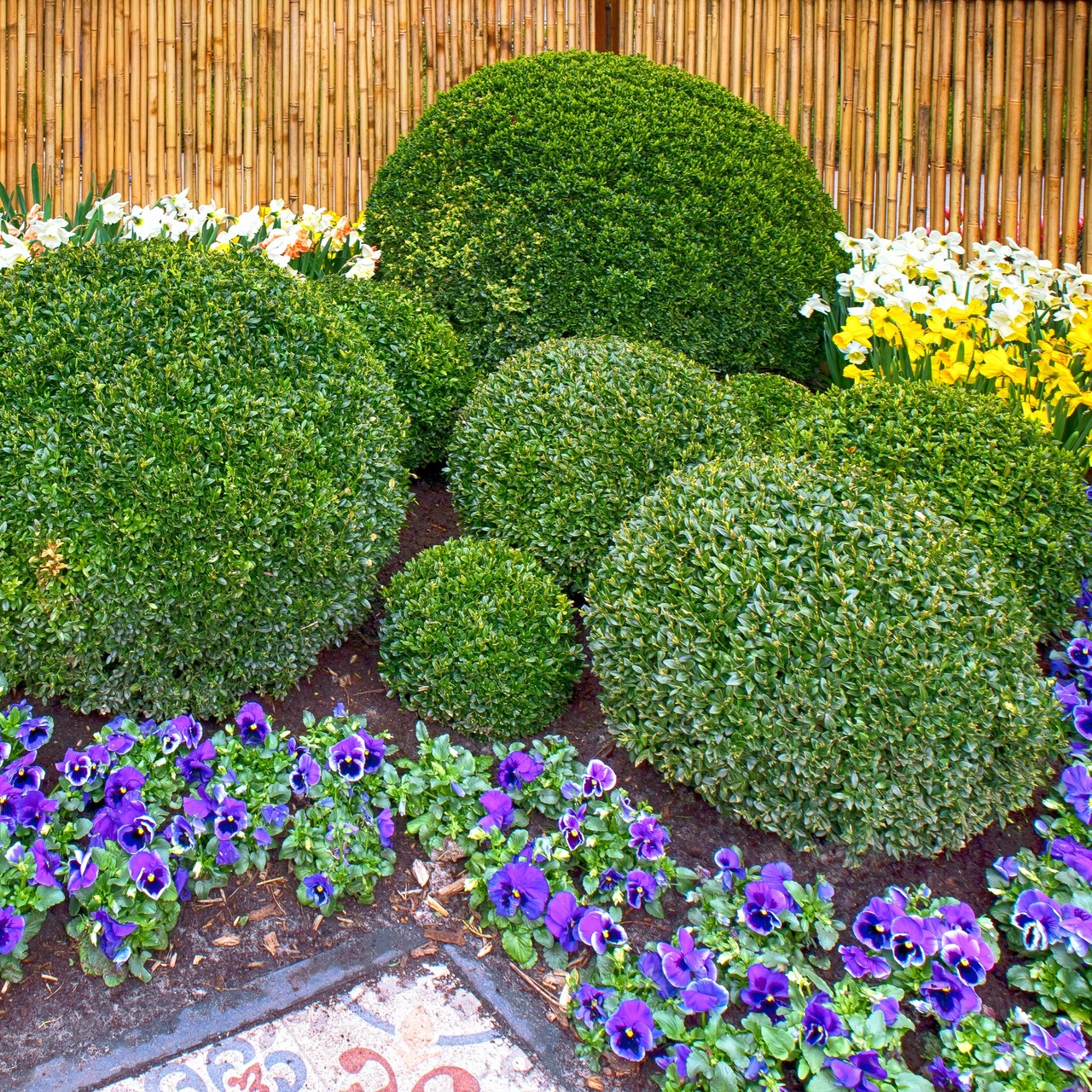 When trimming boxwoods to different sizes, should you buy different