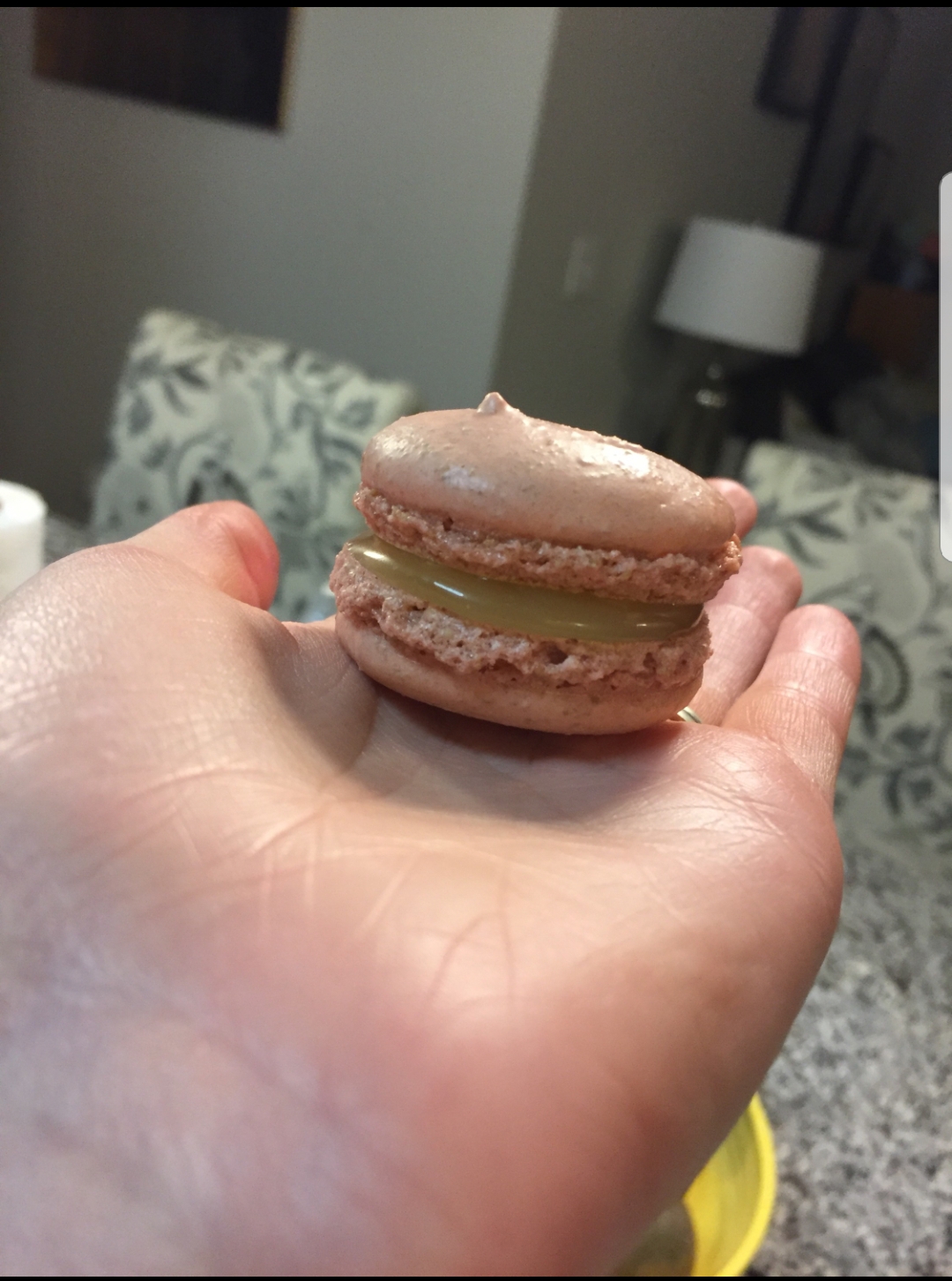 My wife's first attempt at macarons with sunflower seeds instead of