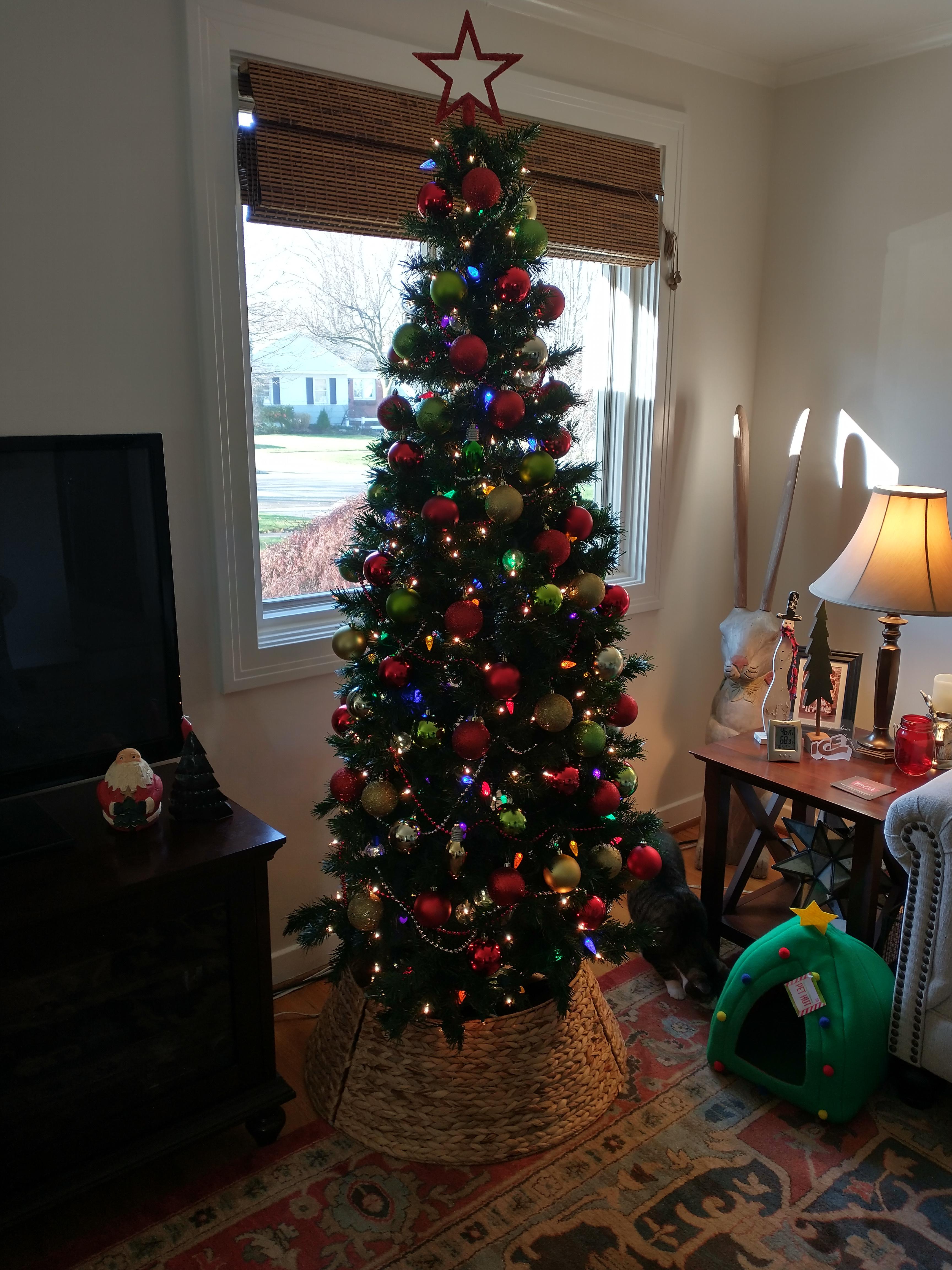 Christmas Tree collar for 15 is perfect! Thanks to the poster who