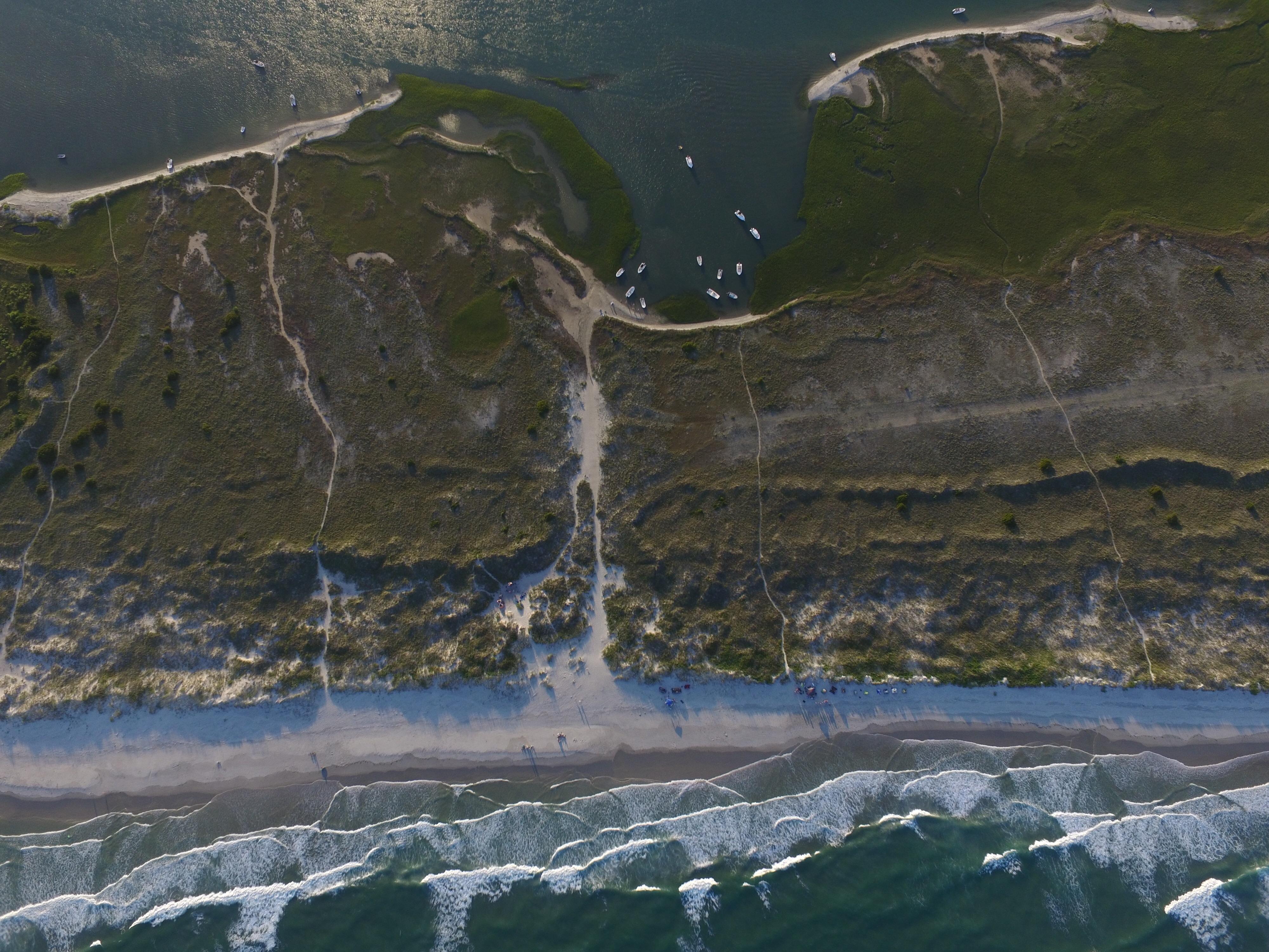 Masonboro Island, North Carolina r/pics