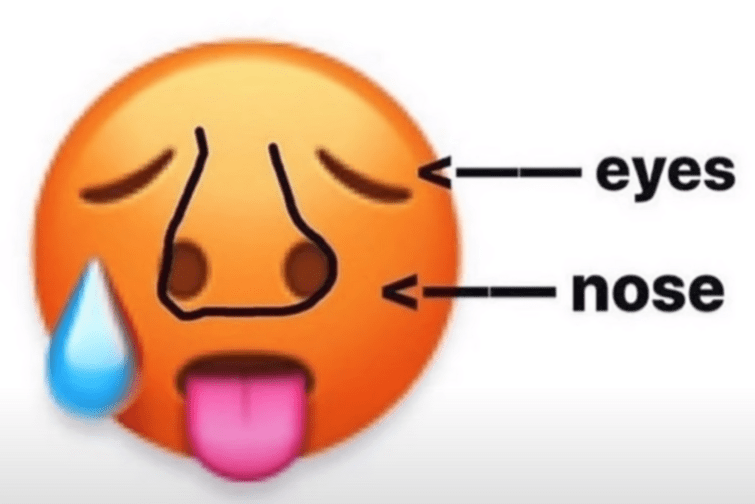 blursed hot face emoji! blursedimages