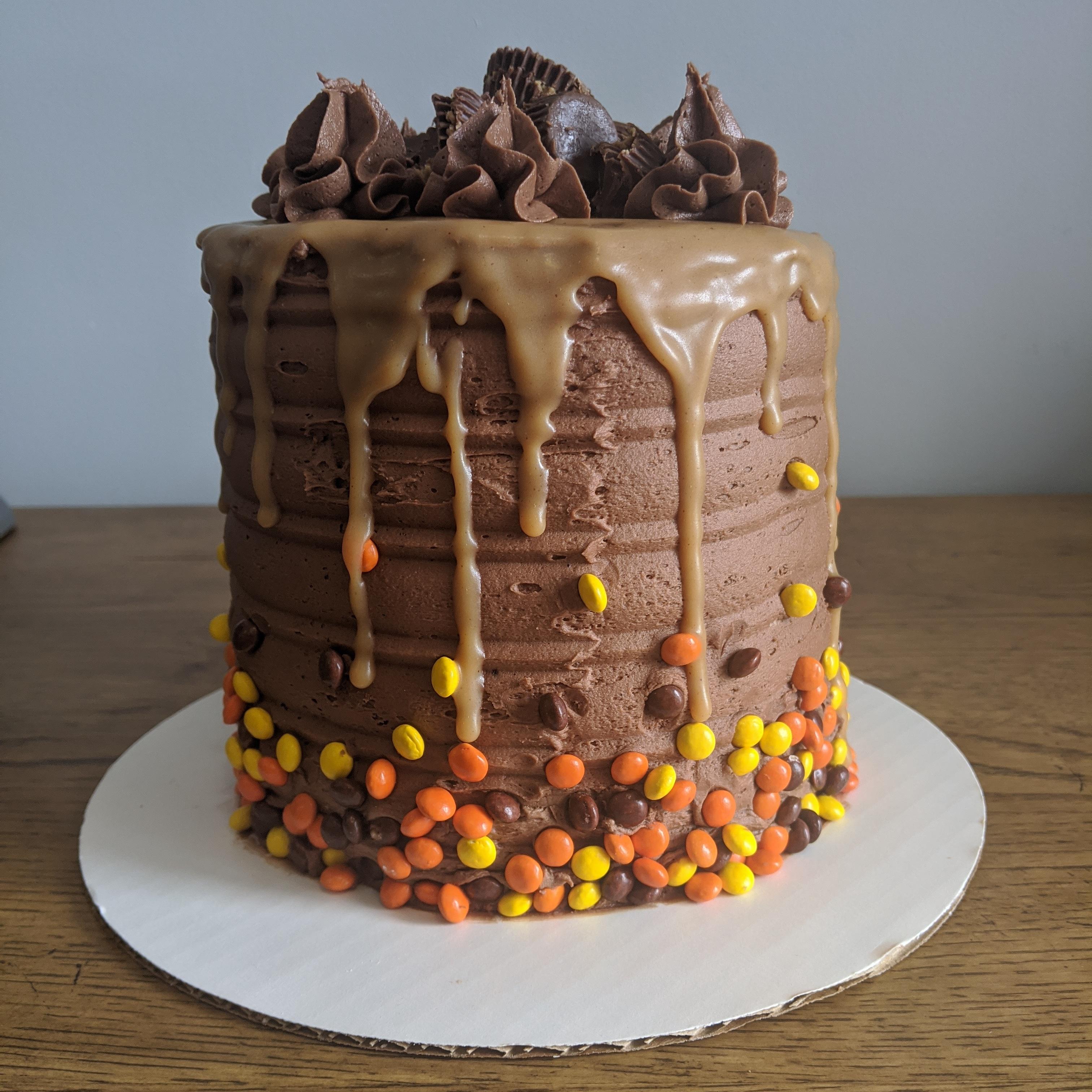 Chocolate Peanut Butter Bonanza cake I made for my boyfriend's birthday