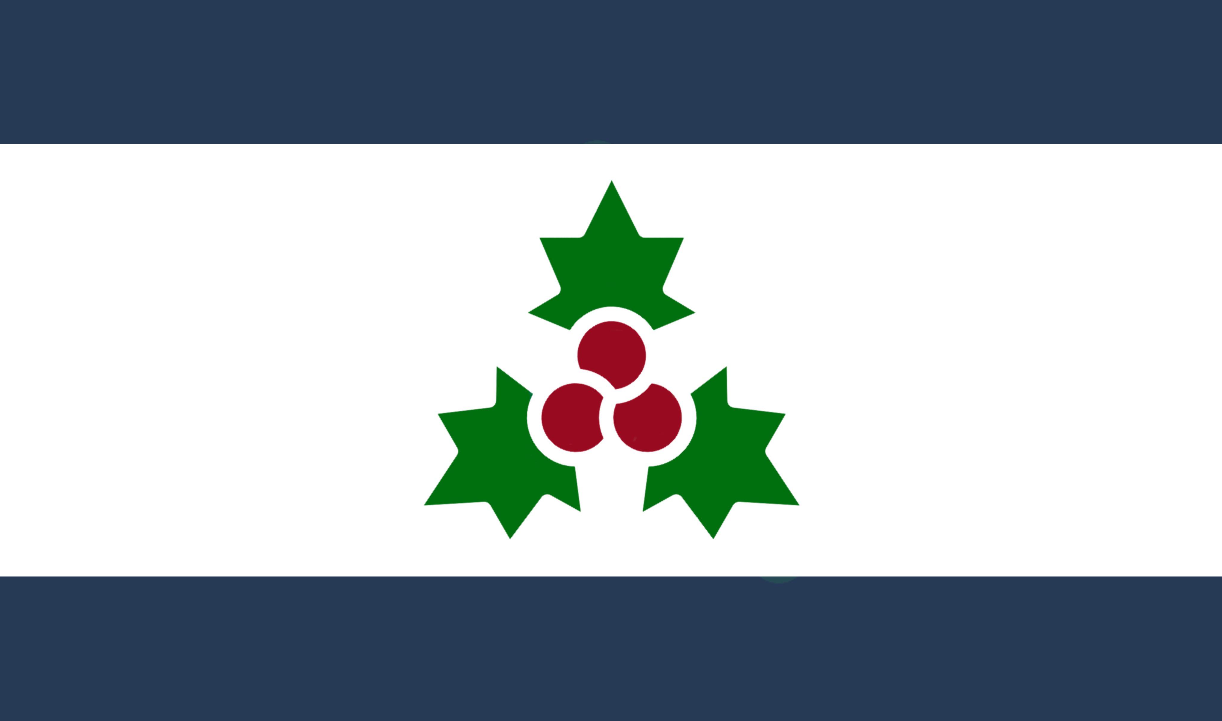 Redesigned flag of Holly Springs, North Carolina r/vexillology