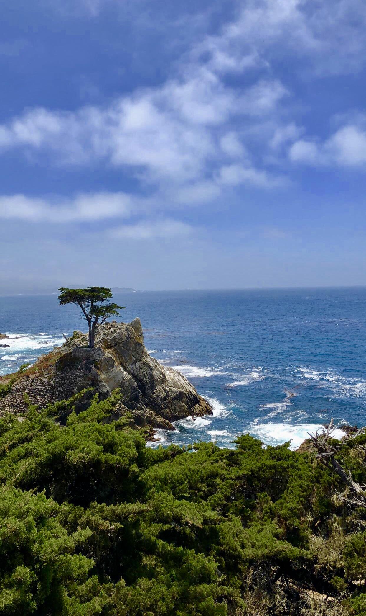 Pebble Beach, California pic