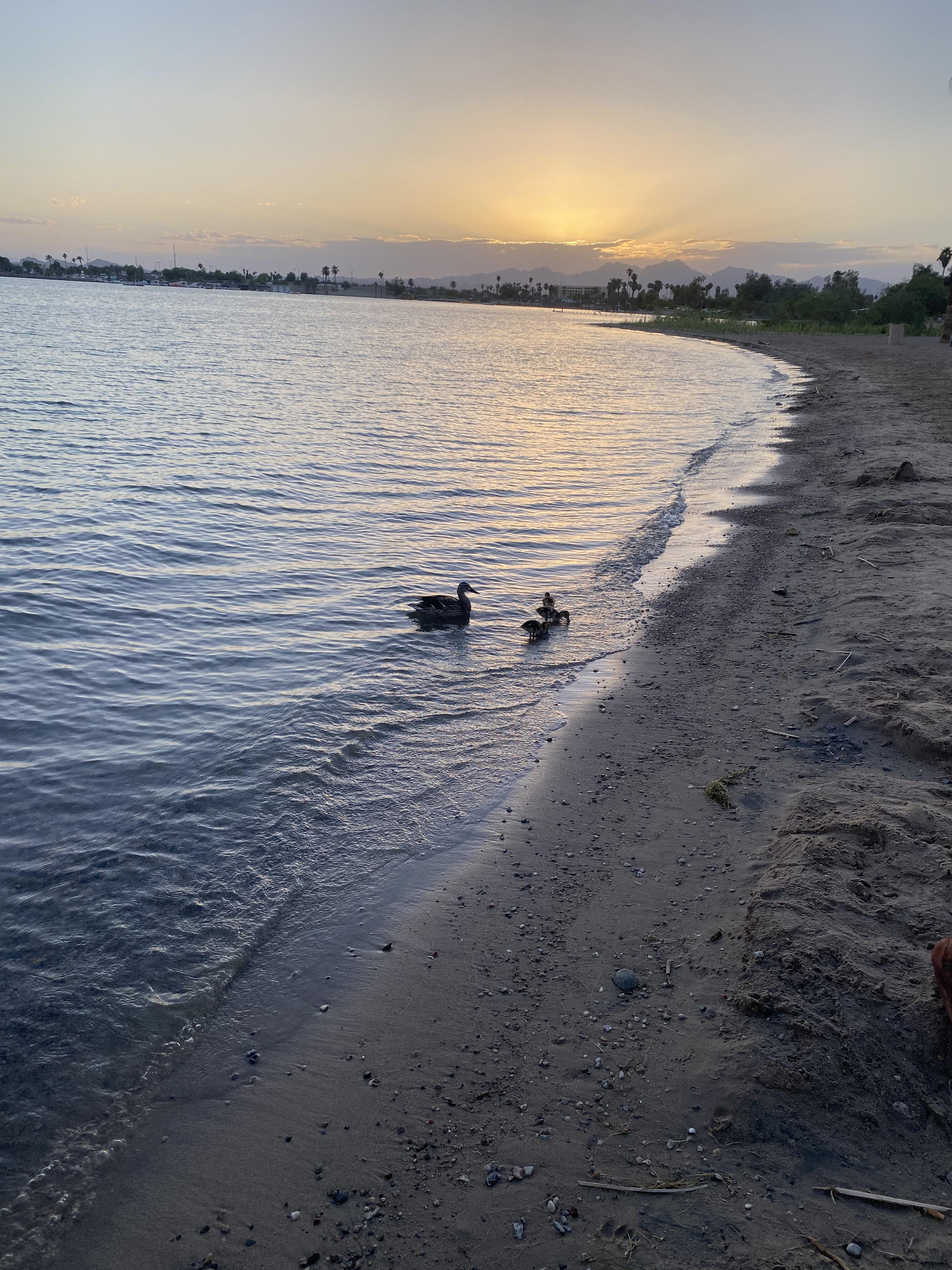 Sunset Lake Havasu,Arizona r/LakeHavasuCityAZ