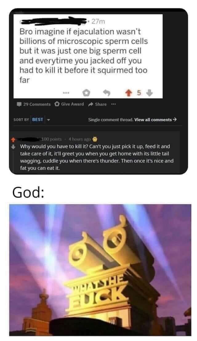What did I just read memes