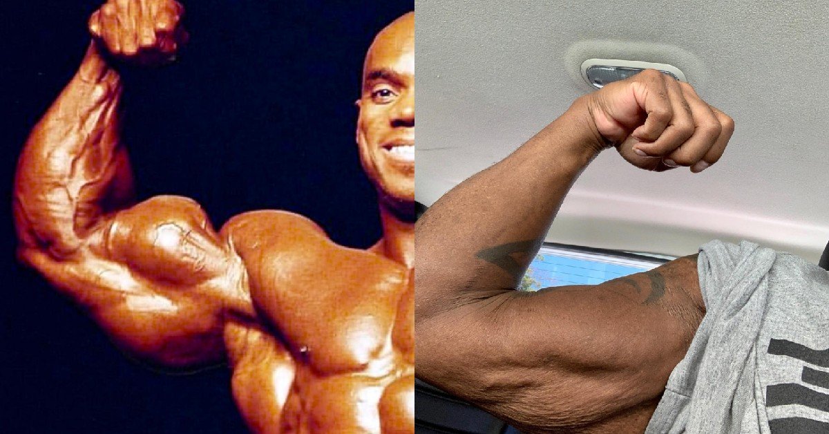 Flex Wheeler Arm Transformation r/FunBodybuilding