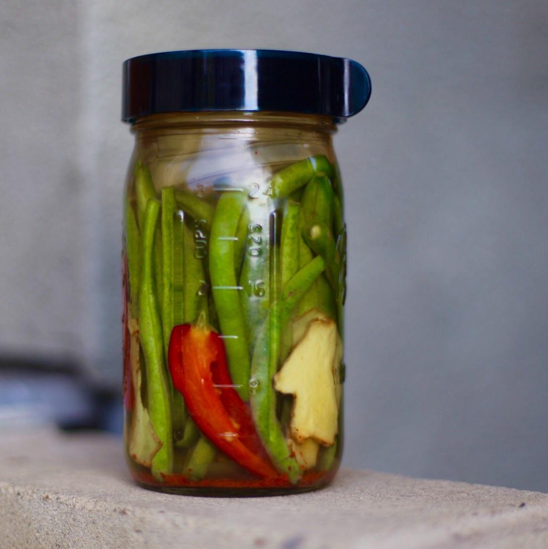 One of my first green beans, ginger, red chile, chile flakes r/fermentation