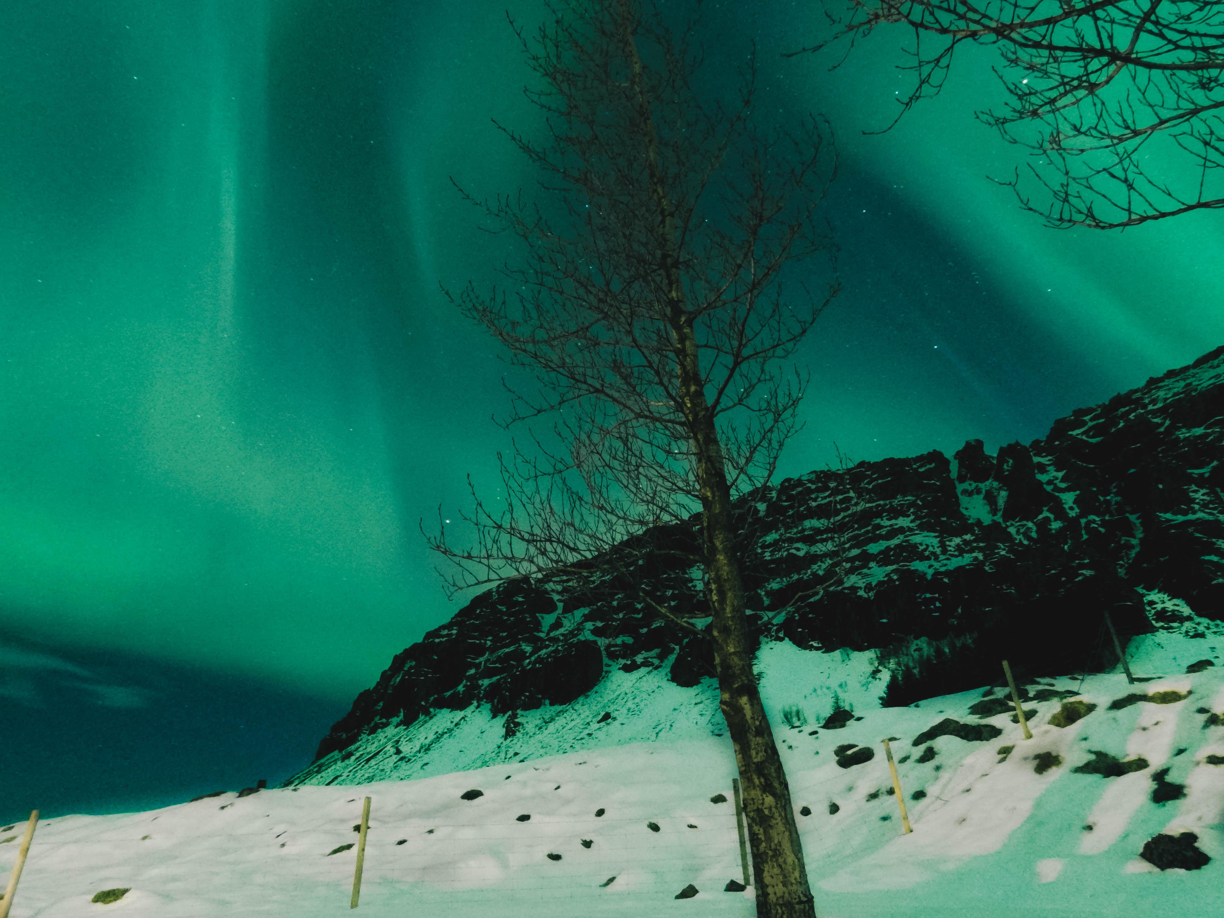 Glad you liked the first, here's another Northern Lights pic caught