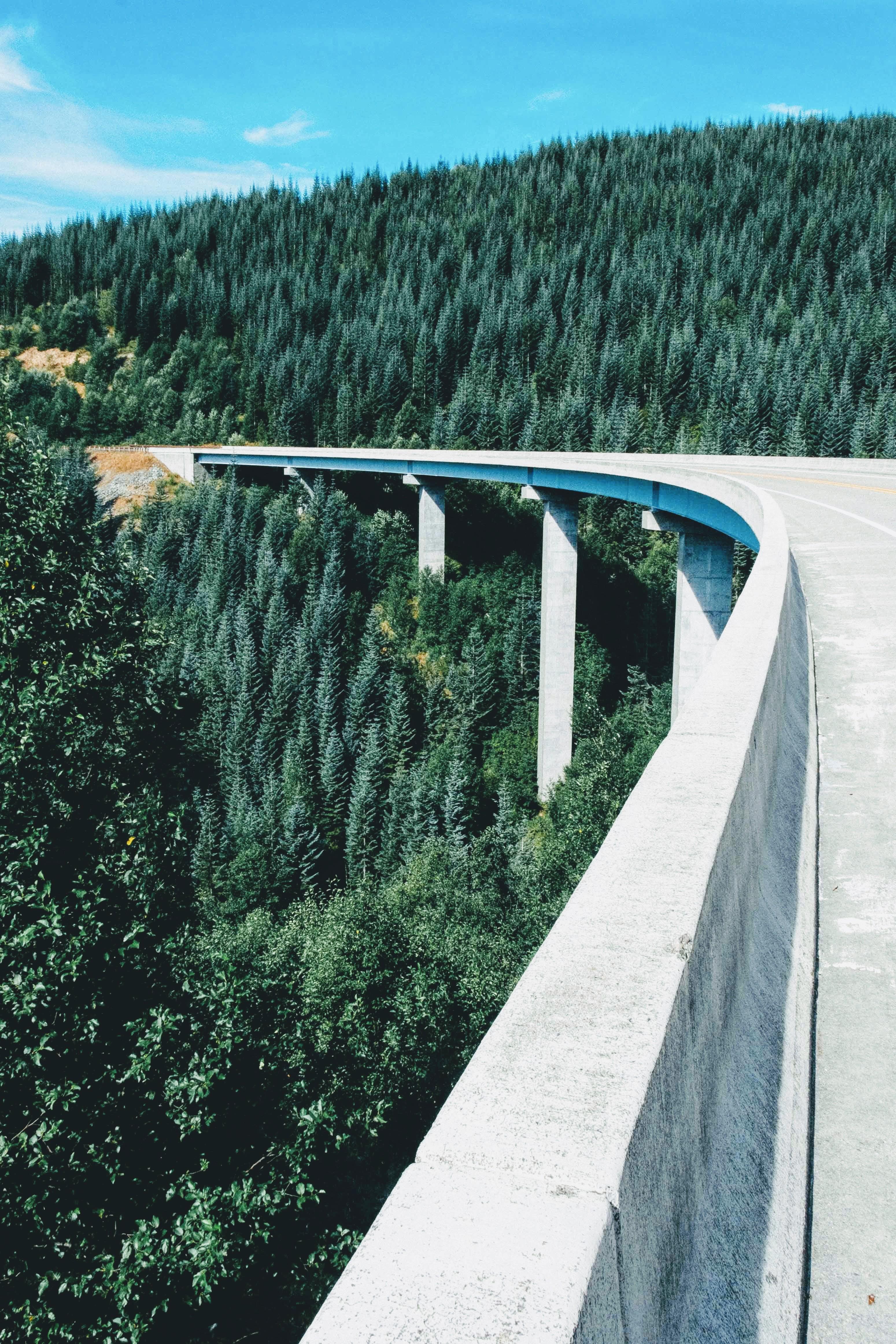 One of the bridges on the winding road to Mt St Helens r/bridgeporn