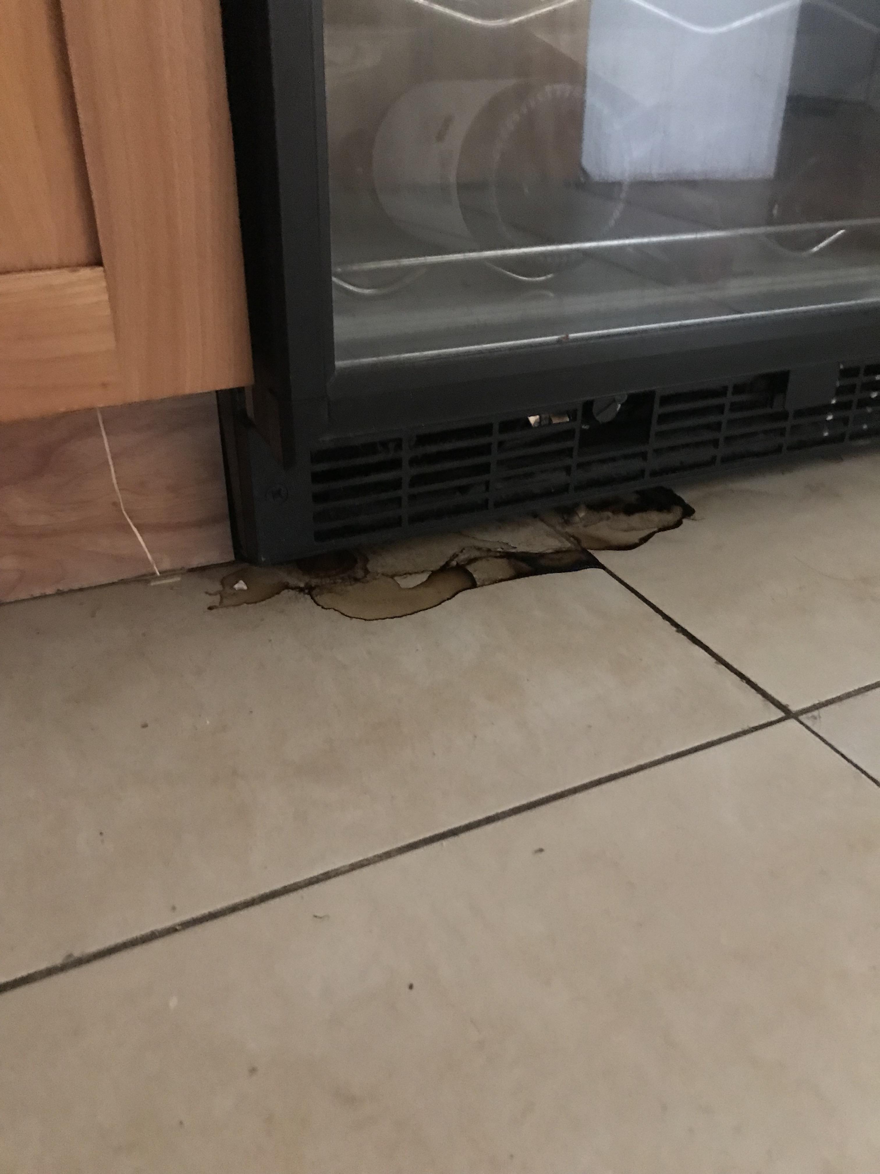 Strange fluid leaking from minifridge? r/refrigeration