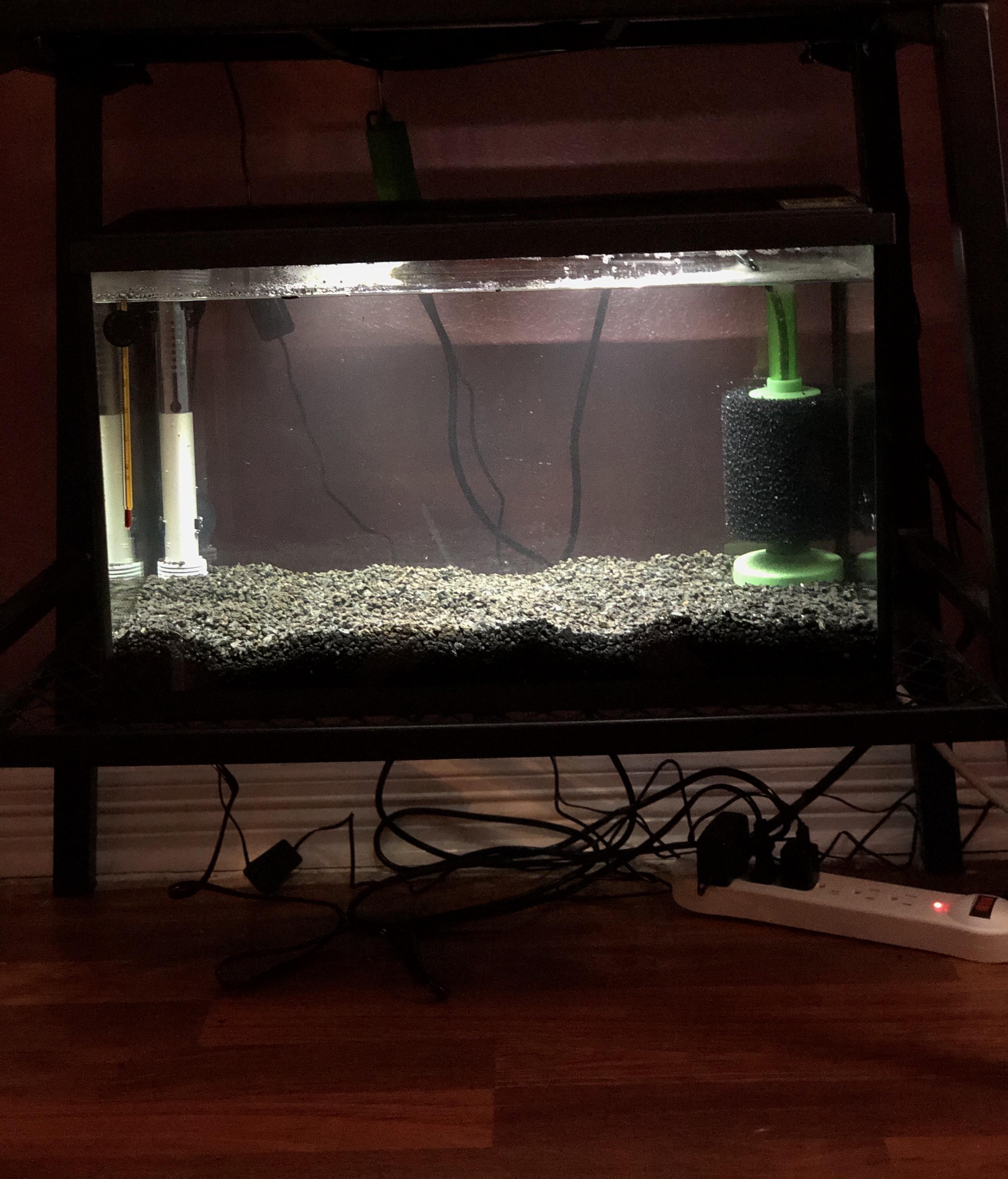 My 10 gallon planted betta tank without the plants or the betta, but it