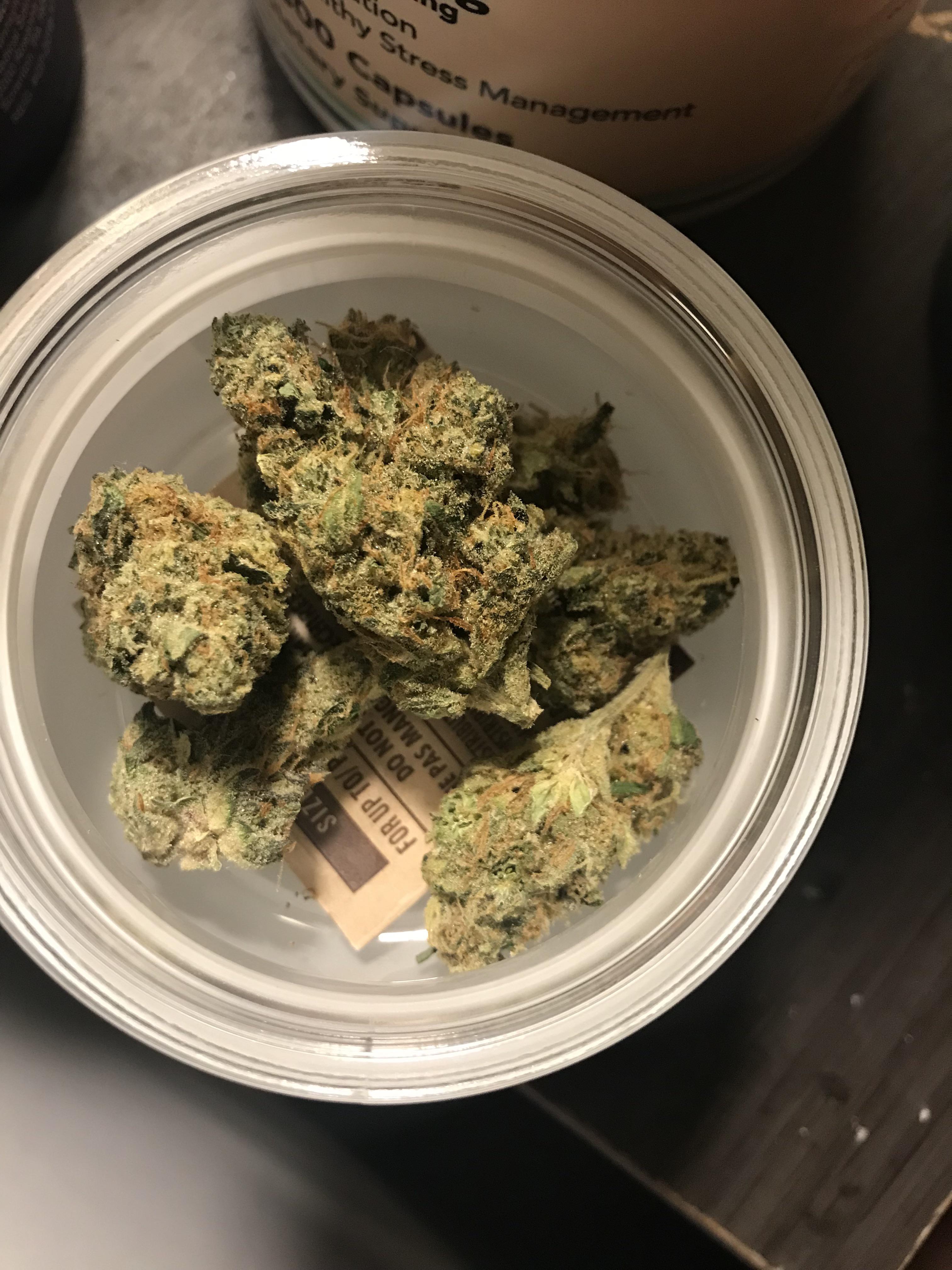 New Cresco Strain Chaos Kush !Tastes like a very unique mix of sweet