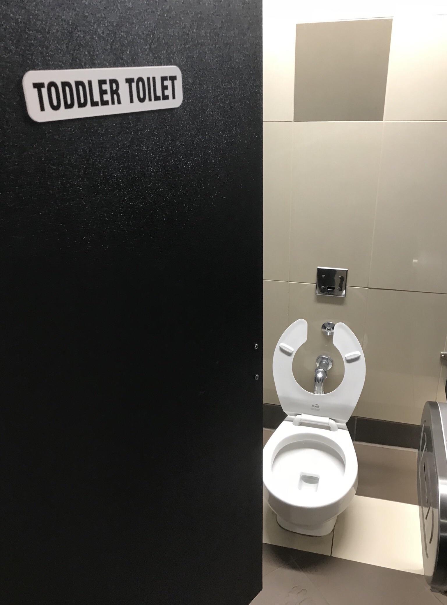 Toddler sized toilet at Virginia rest area. r/mildyinteresting