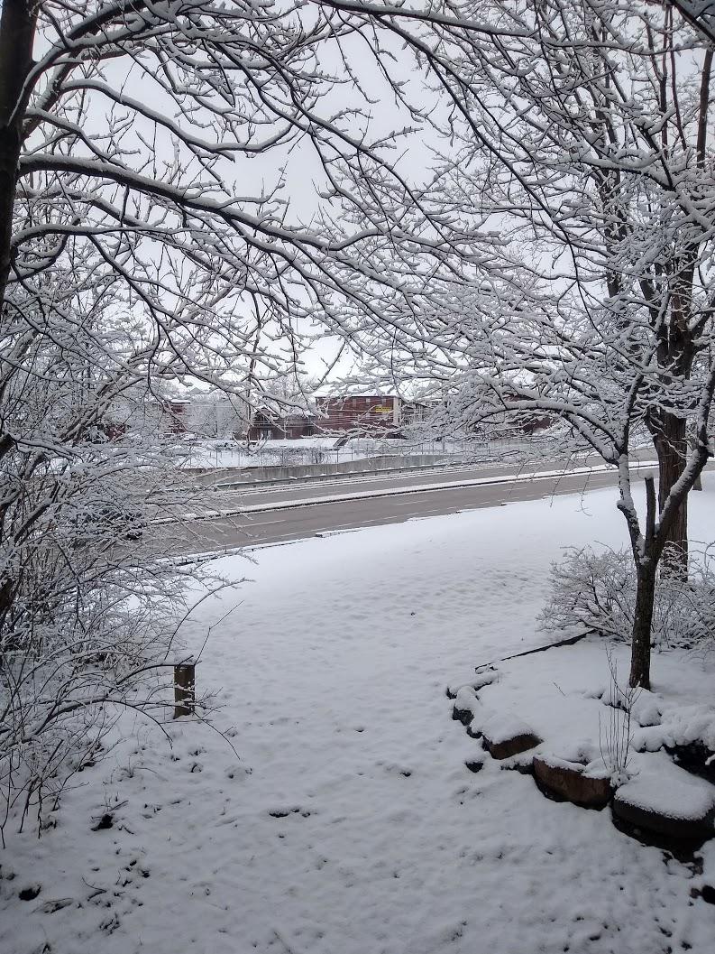 W. Lafayette, Indiana r/winterporn