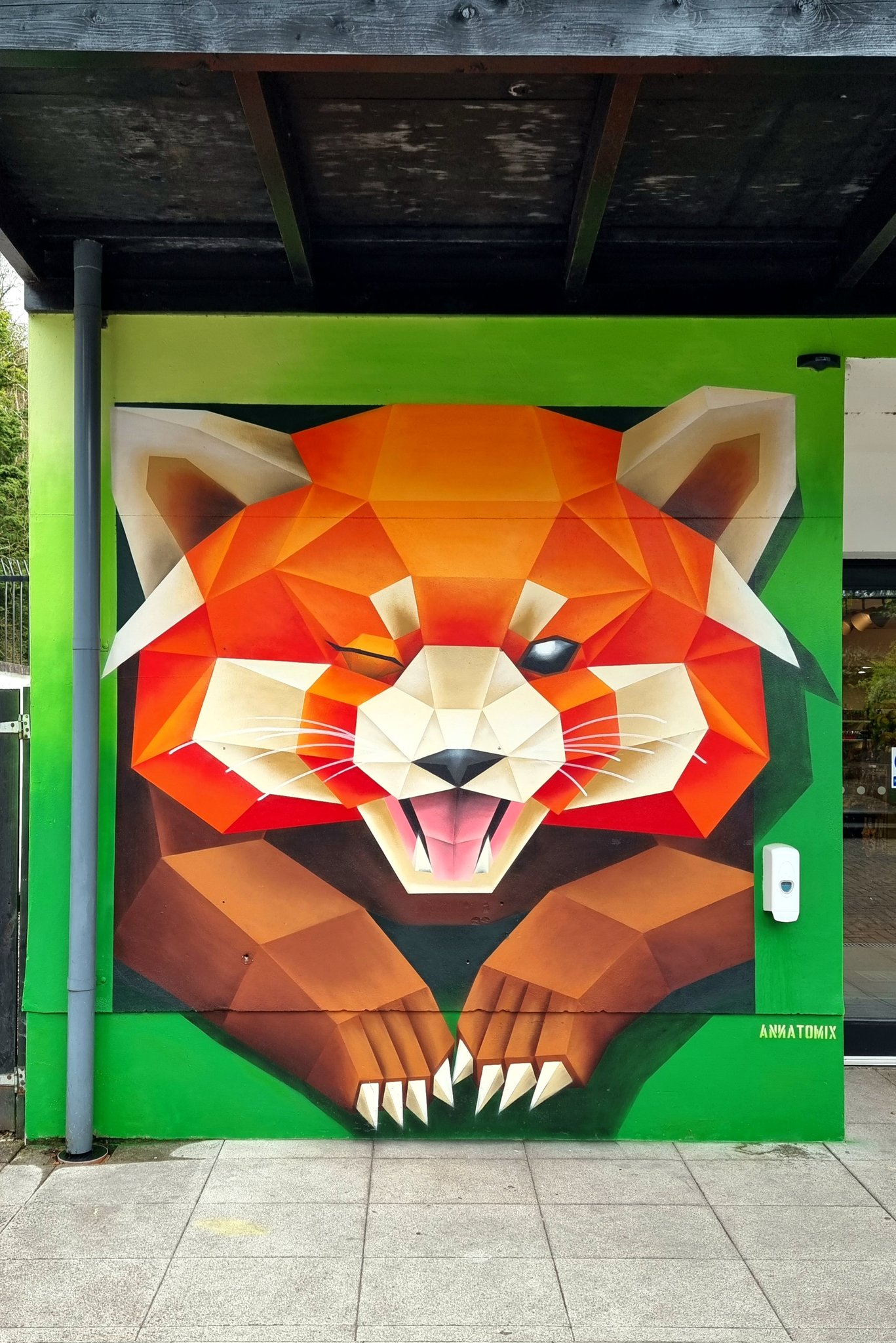 Red Panda, Annatomix, Belfast Zoo, Belfast (2023) r/Graifiti
