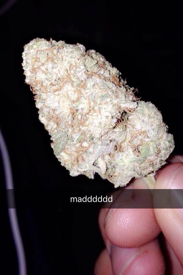 Girl Scout Cookie is simply the best ). What's everyone else's