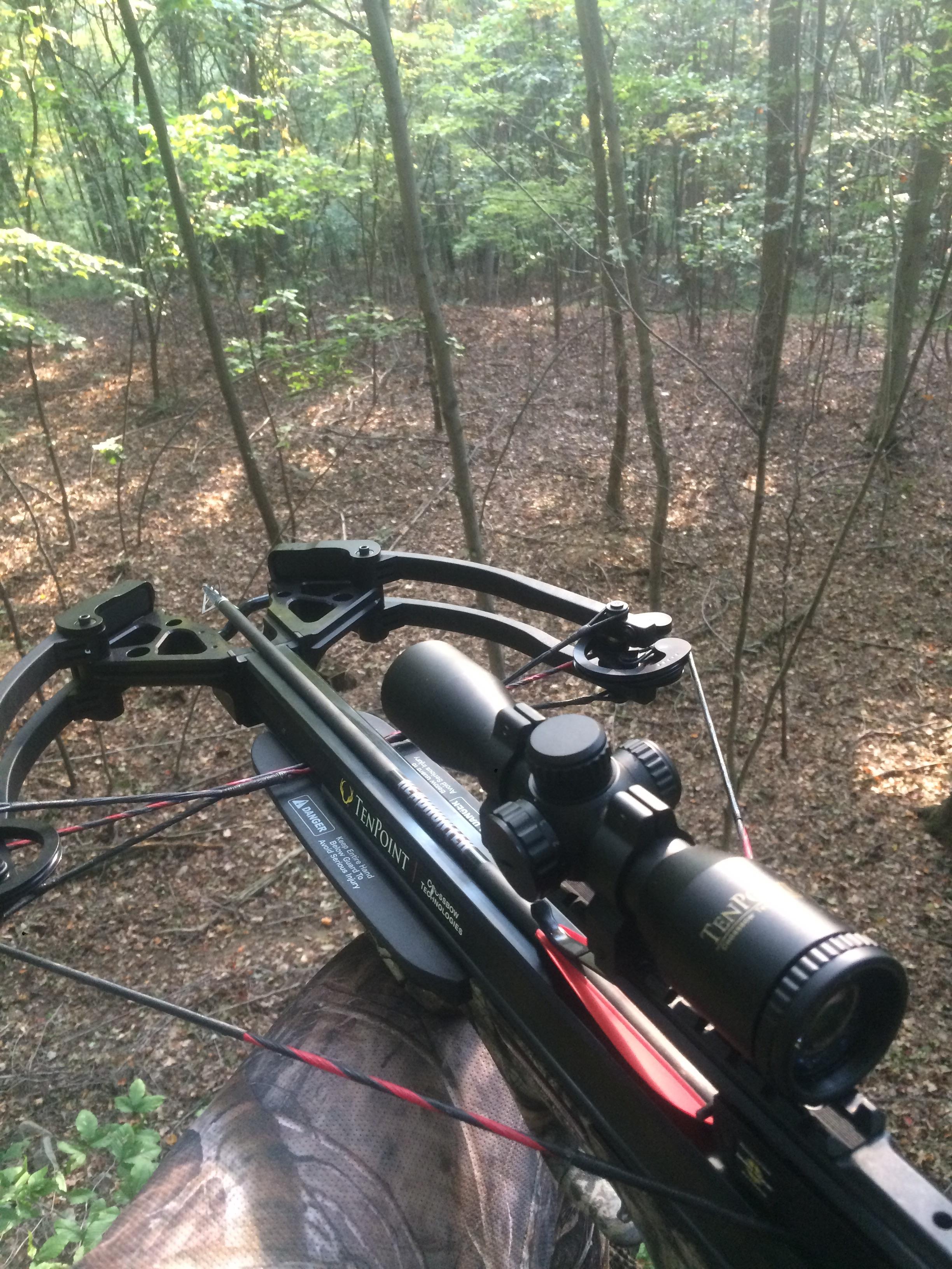 Good luck to everyone in East TN r/Hunting