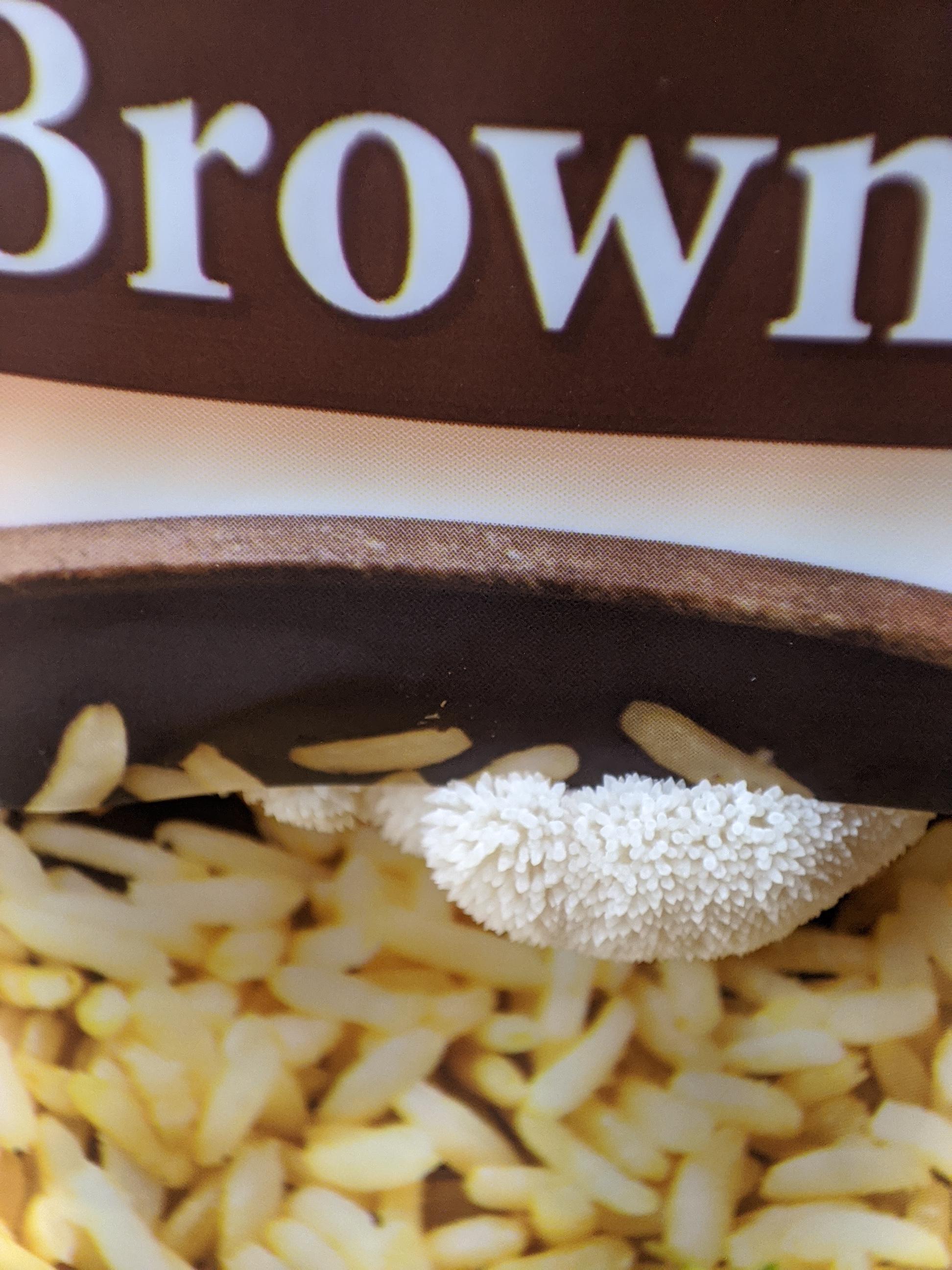 [Gourmet] 🦁 Lion's Mane out of a Uncle Ben 90 sec. rice bag r