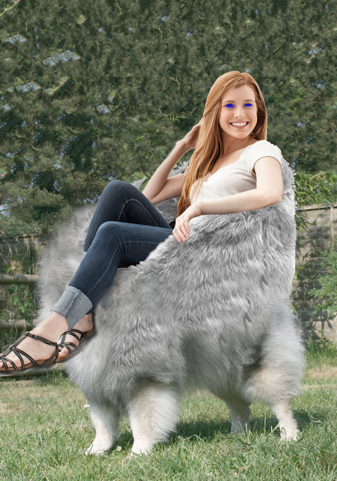 Chairdog r/dunememes