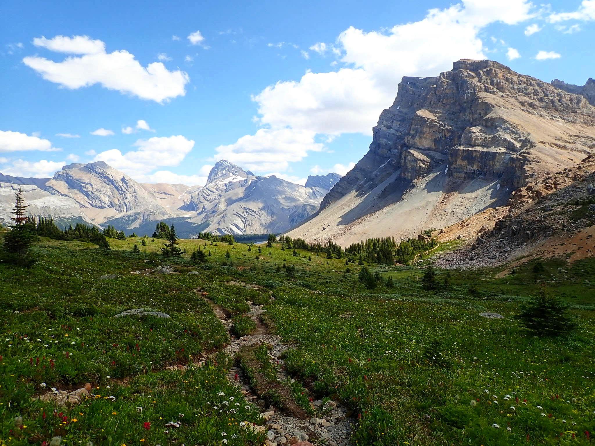 North Molar Pass, Banff National Park, Alberta Canada in August 2019