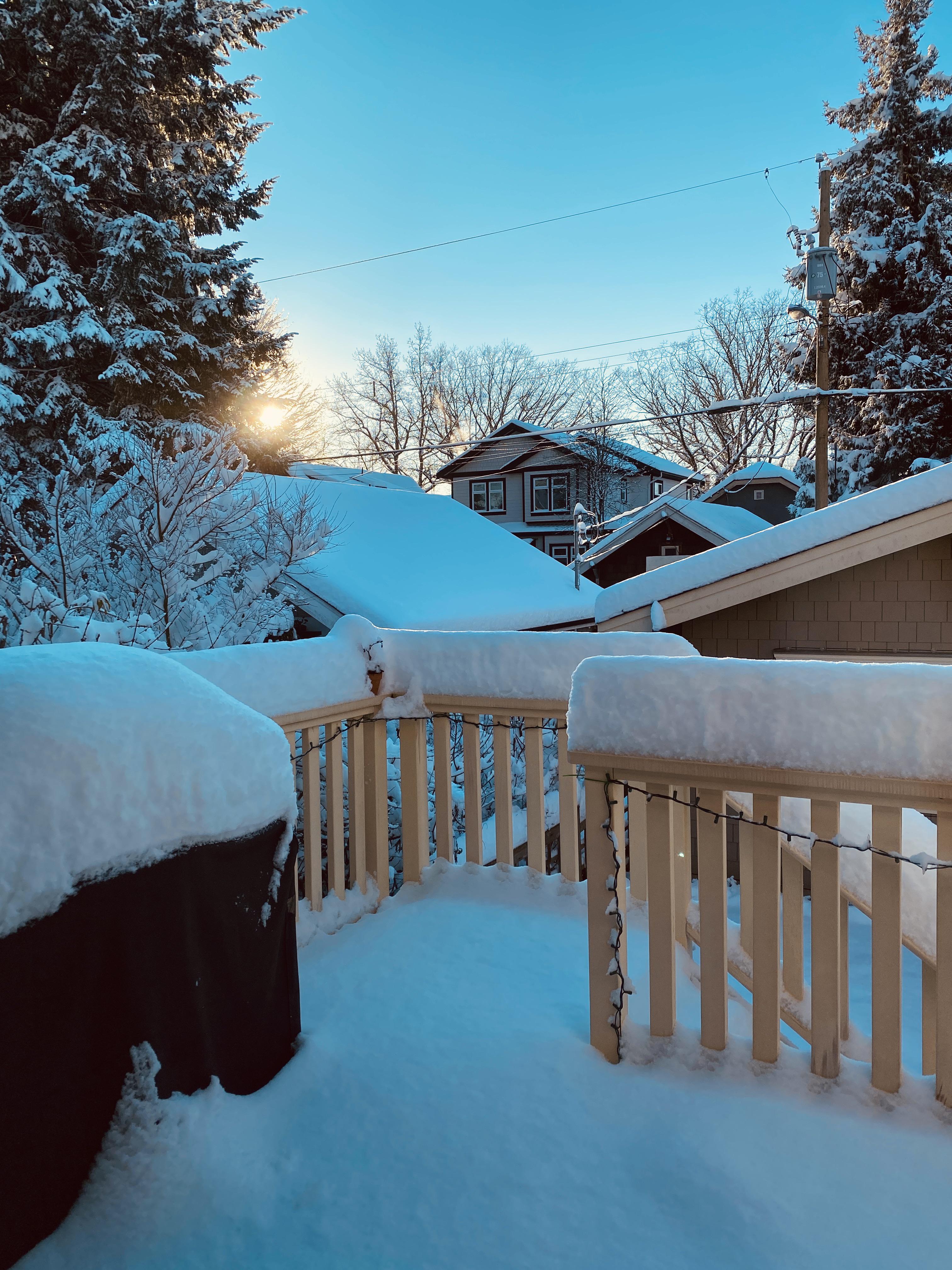 Riley Park neighborhood r/vancouver