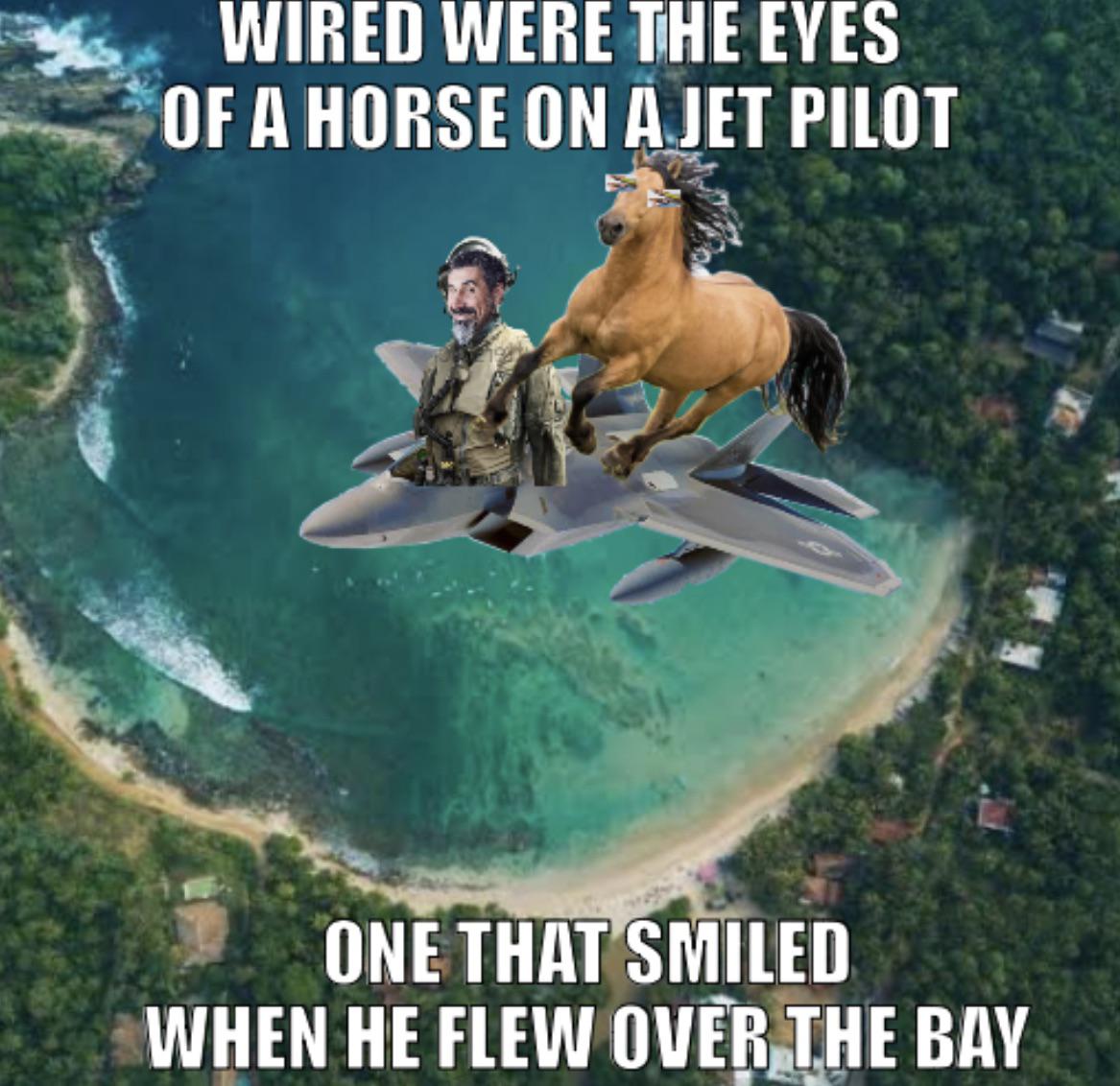 Jet Pilot r/systemofadown