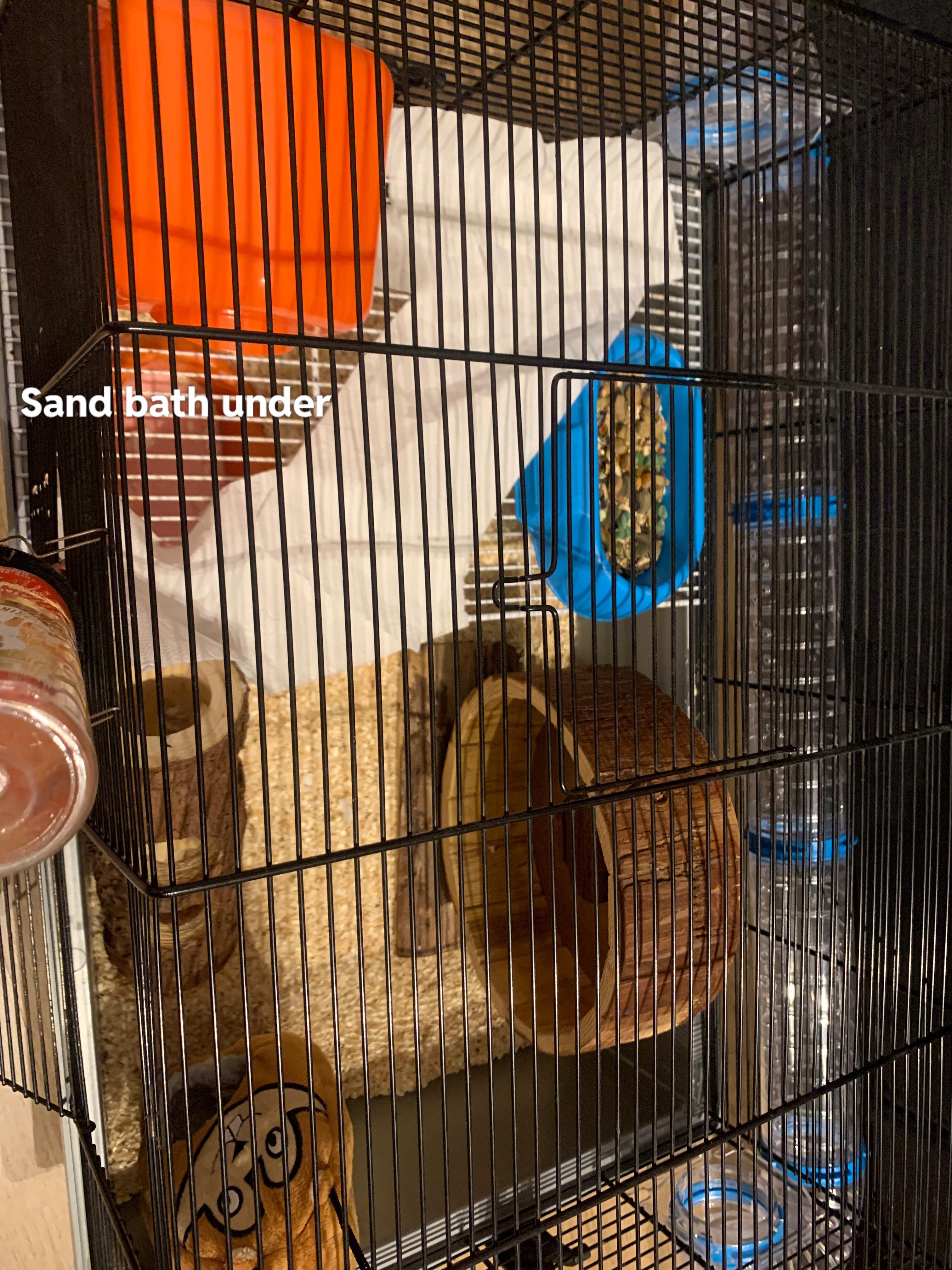 How do u fix this? Or is it ok? I’m getting a new hamster as my other