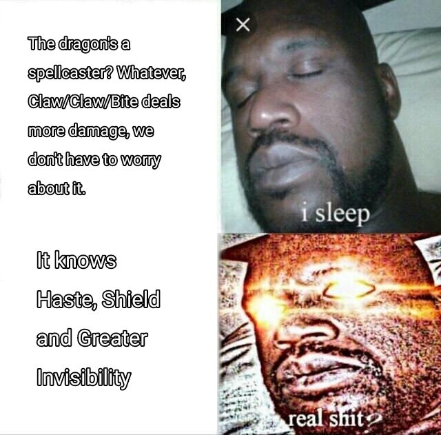 What do you MEAN you can't find the dragon? r/dndmemes