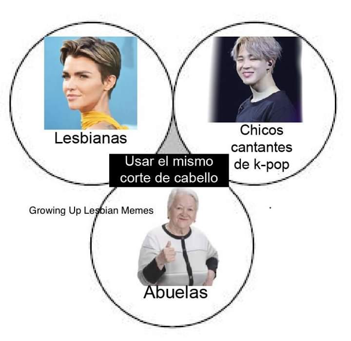 To make a Venn diagram : r/therewasanattempt