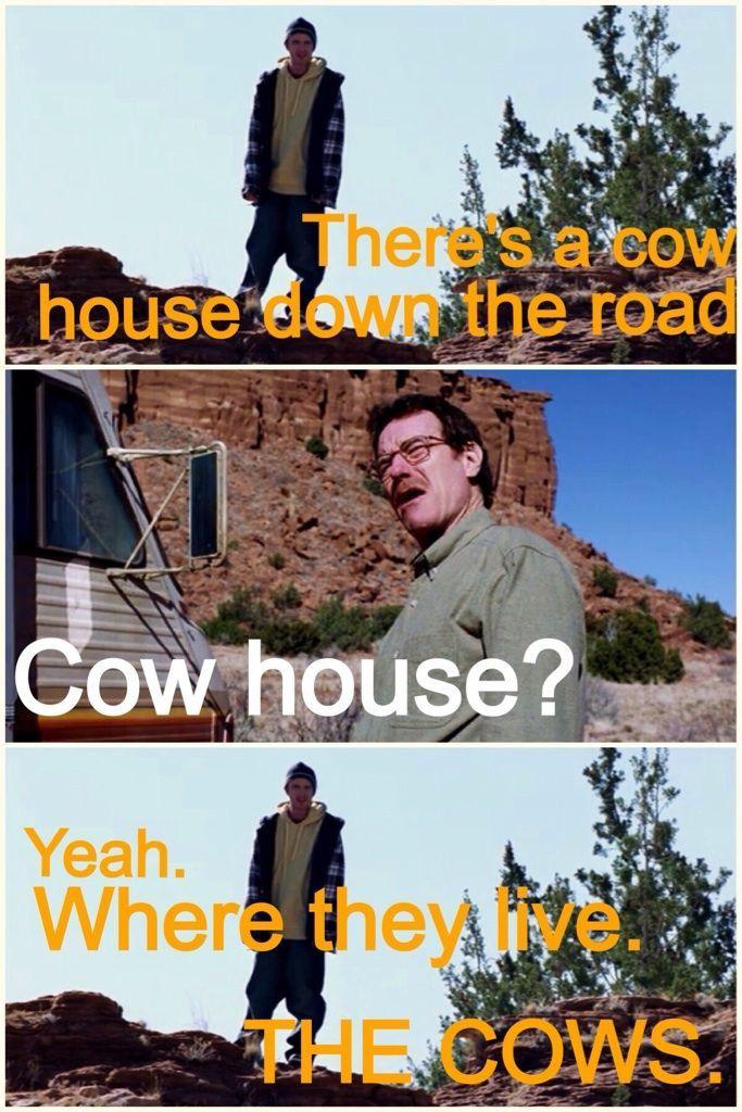 Cow House r/breakingbad