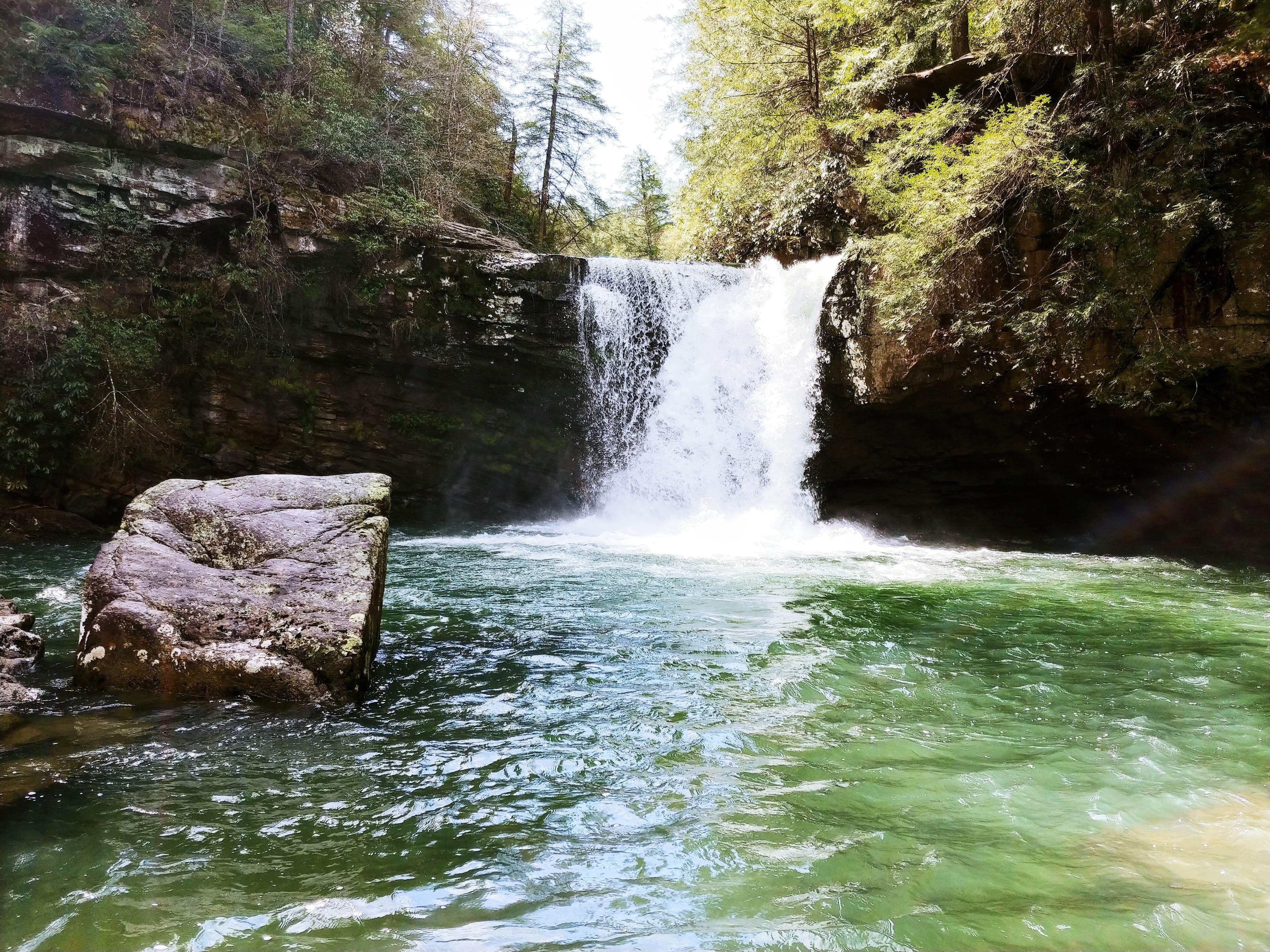Savage Gulf State Park, TN [4656x3492] r/EarthPorn