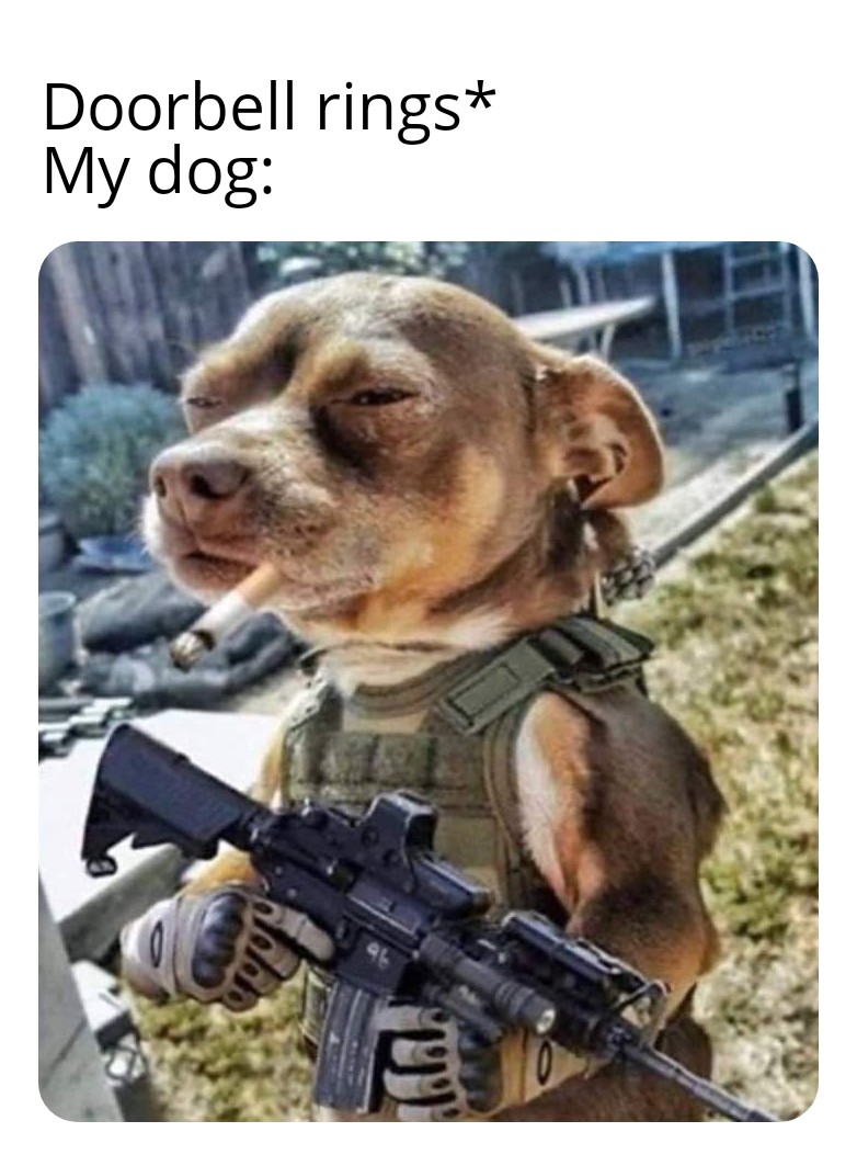 He's not sorry memes