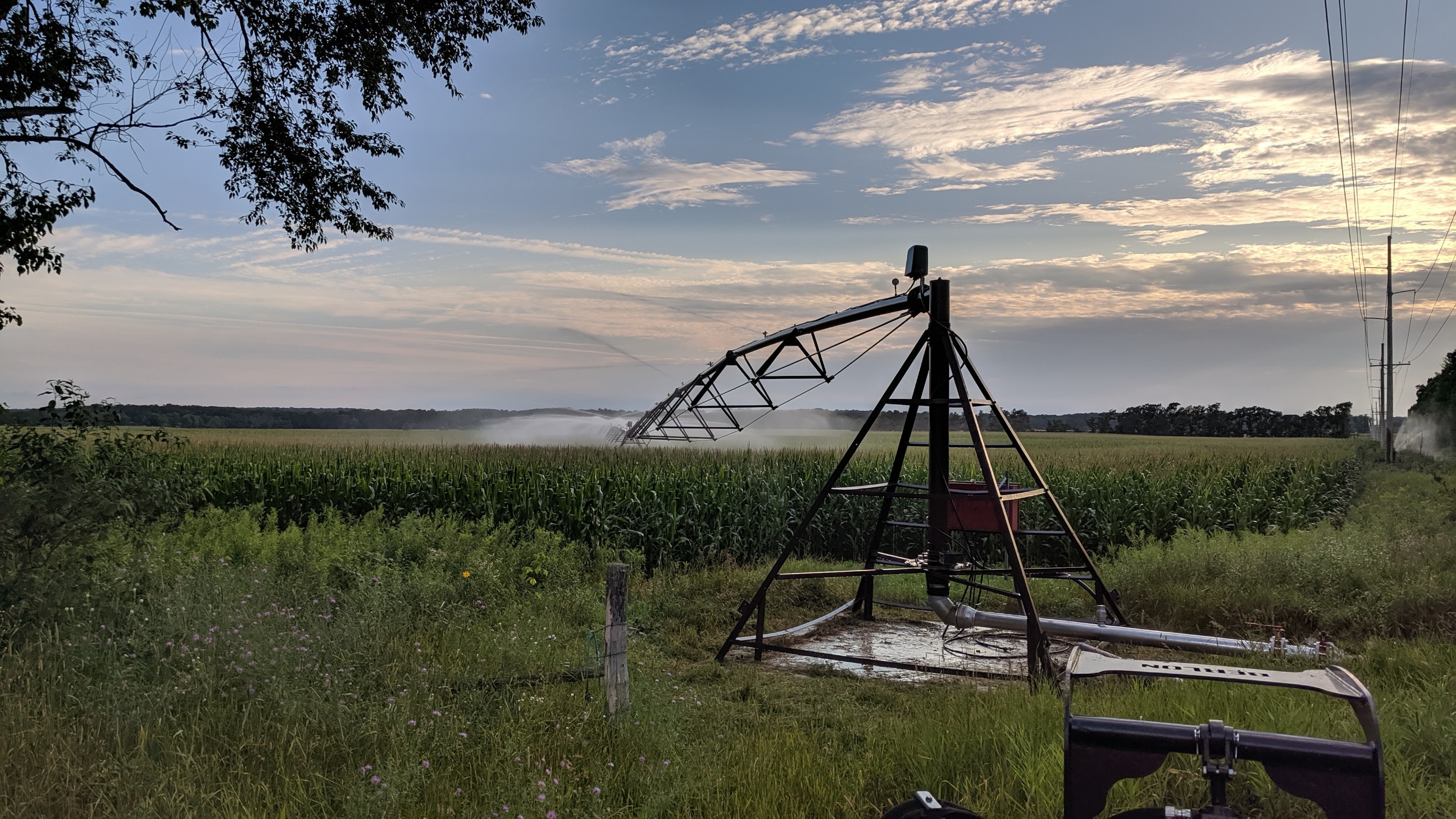 Almond, Wisconsin. [1920x1080] This is the neighbors corn field. Sorry