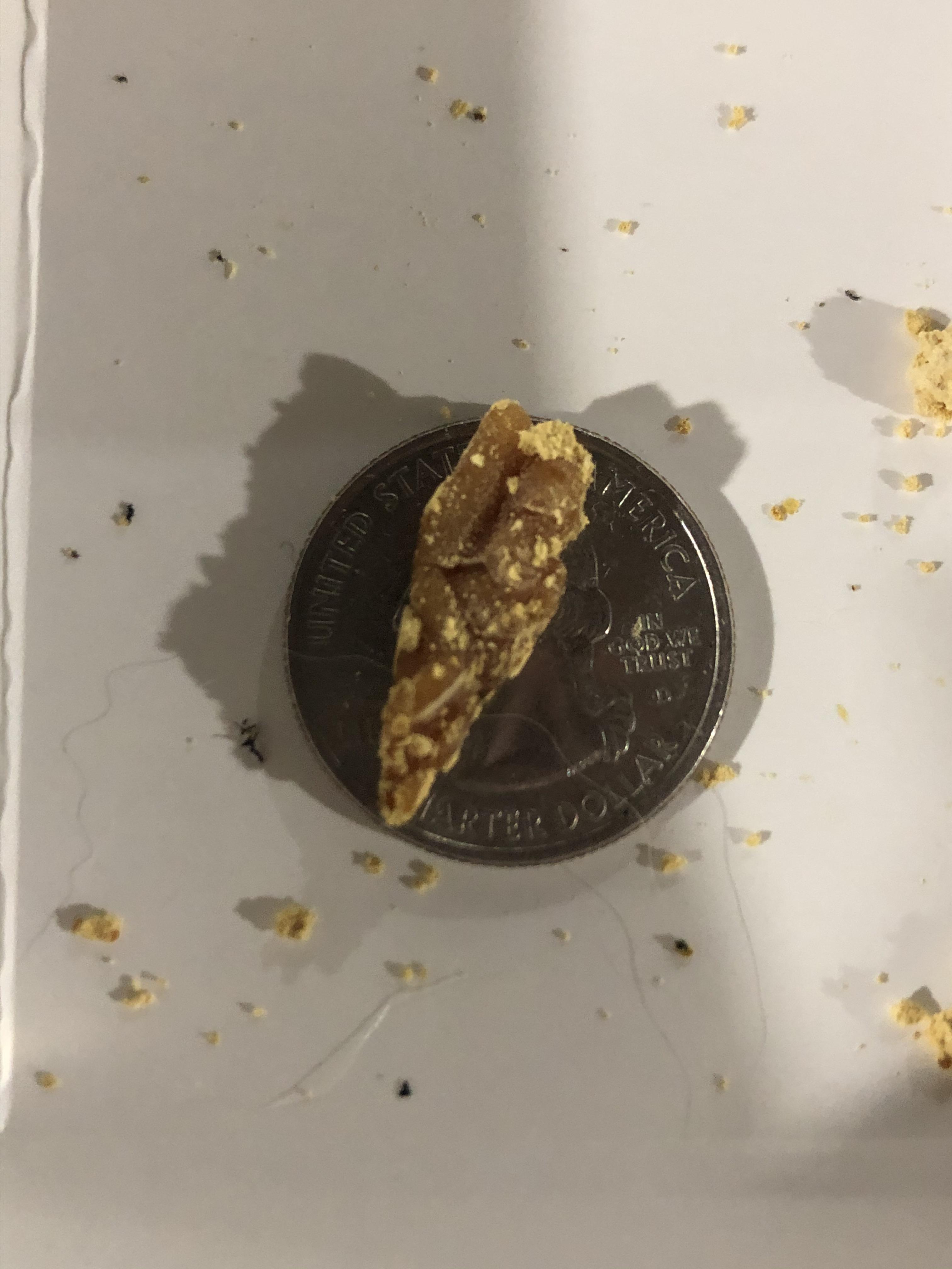 This was from my third earwax candle within 24 hours... I still can’t