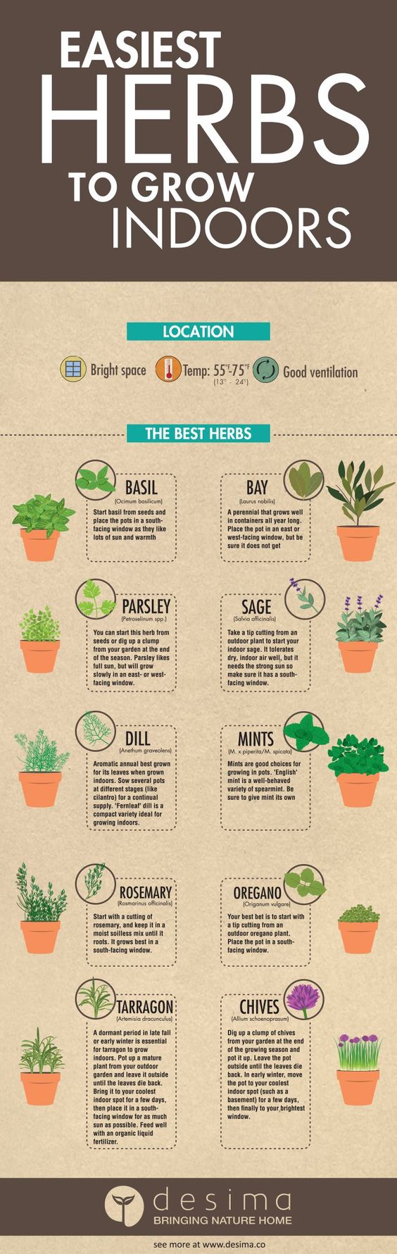Easiest Herbs to Grow Indoors r/Infographics