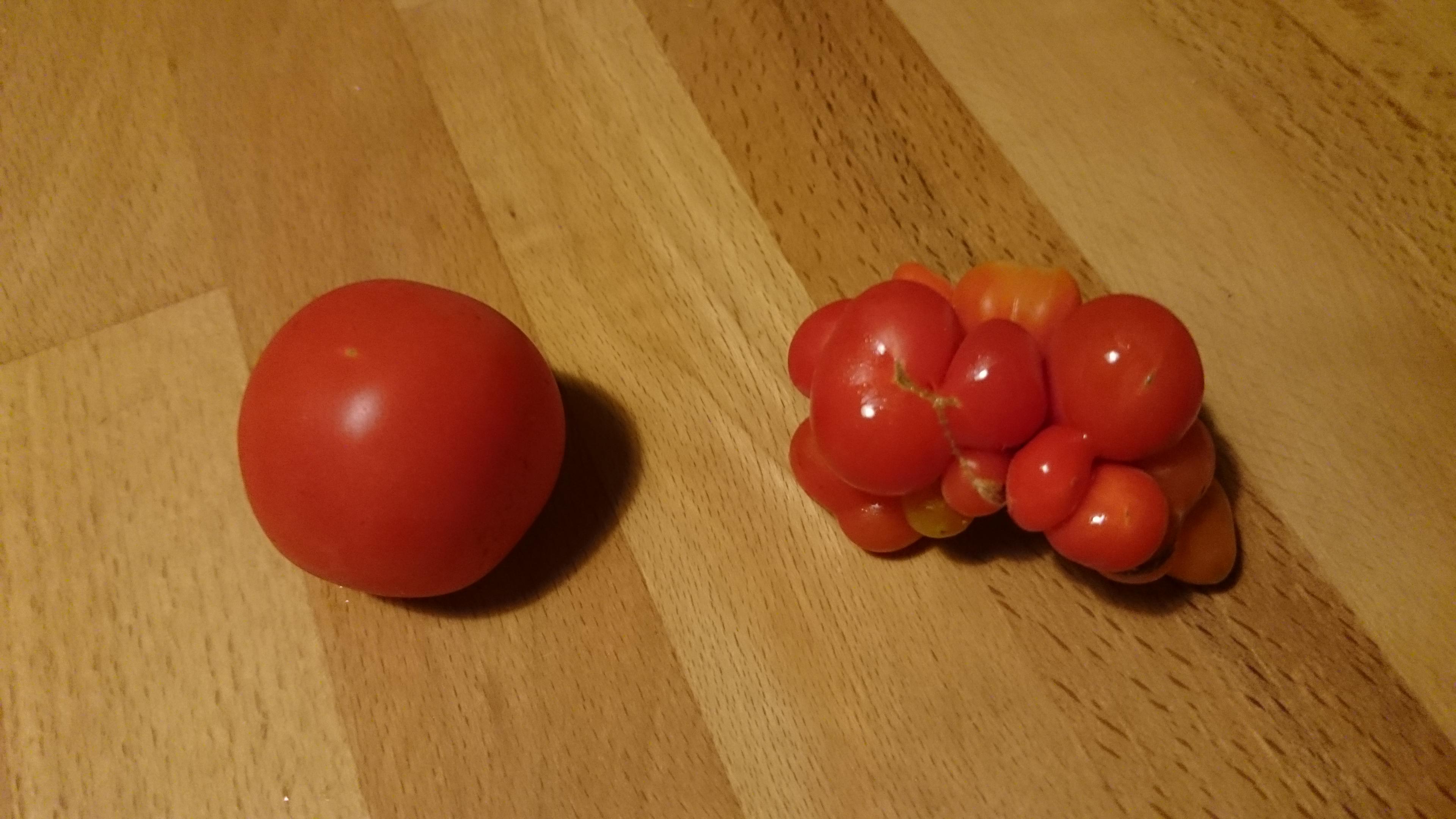 My Tomato plant decided to grow this Tomato that spawned lil Tomatoes