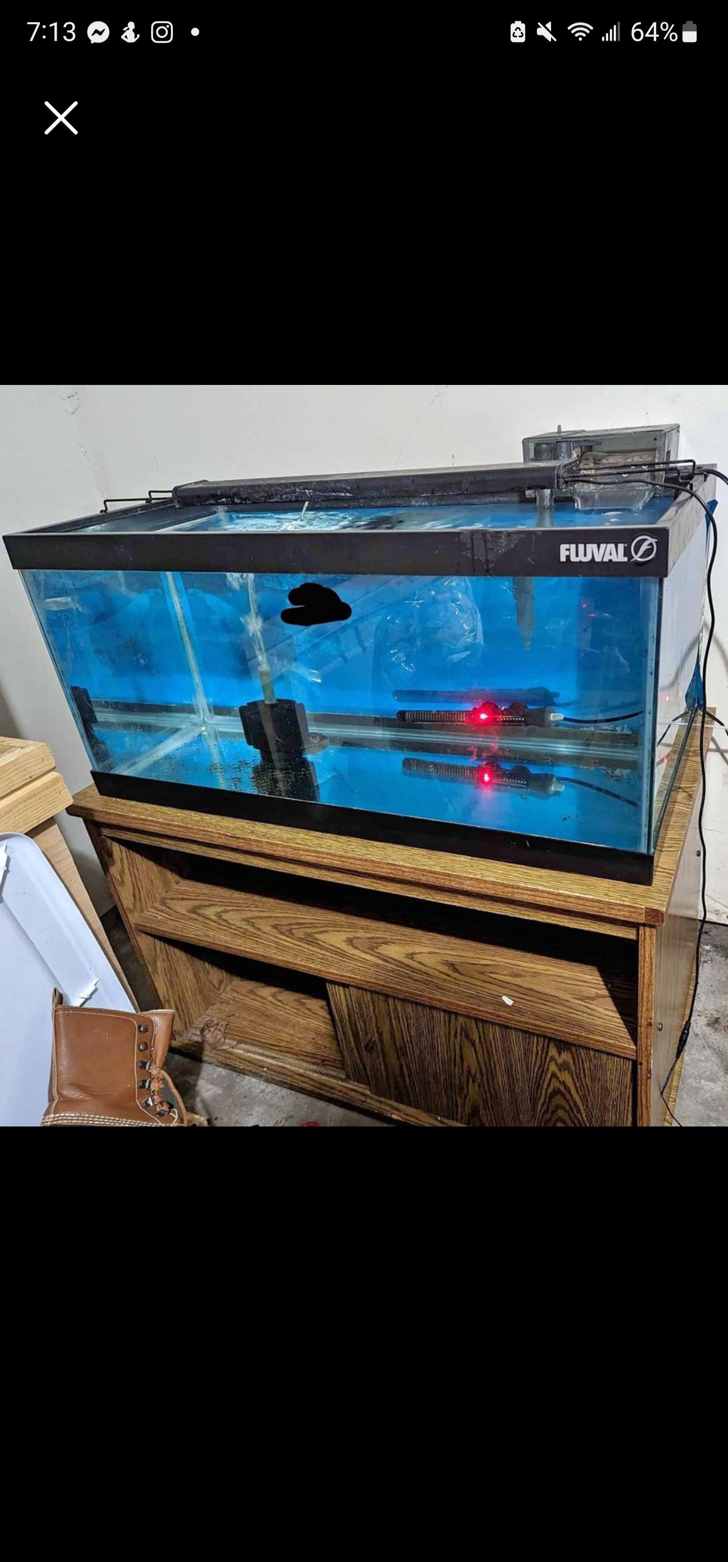 setting up my first 40 gallon breeder, need stocking ideas. schooling