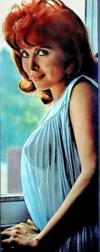 Tina Louise : oldhollywood