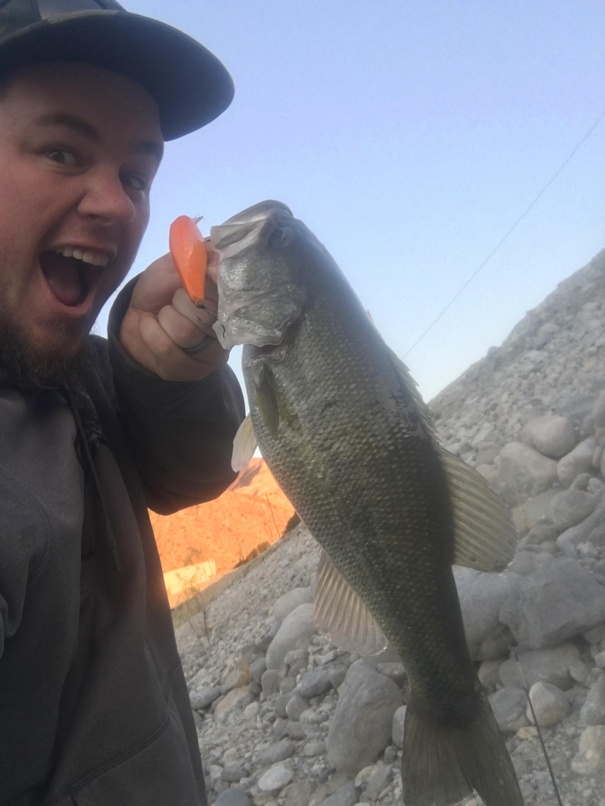 Bass like eating goldfish r/bassfishing