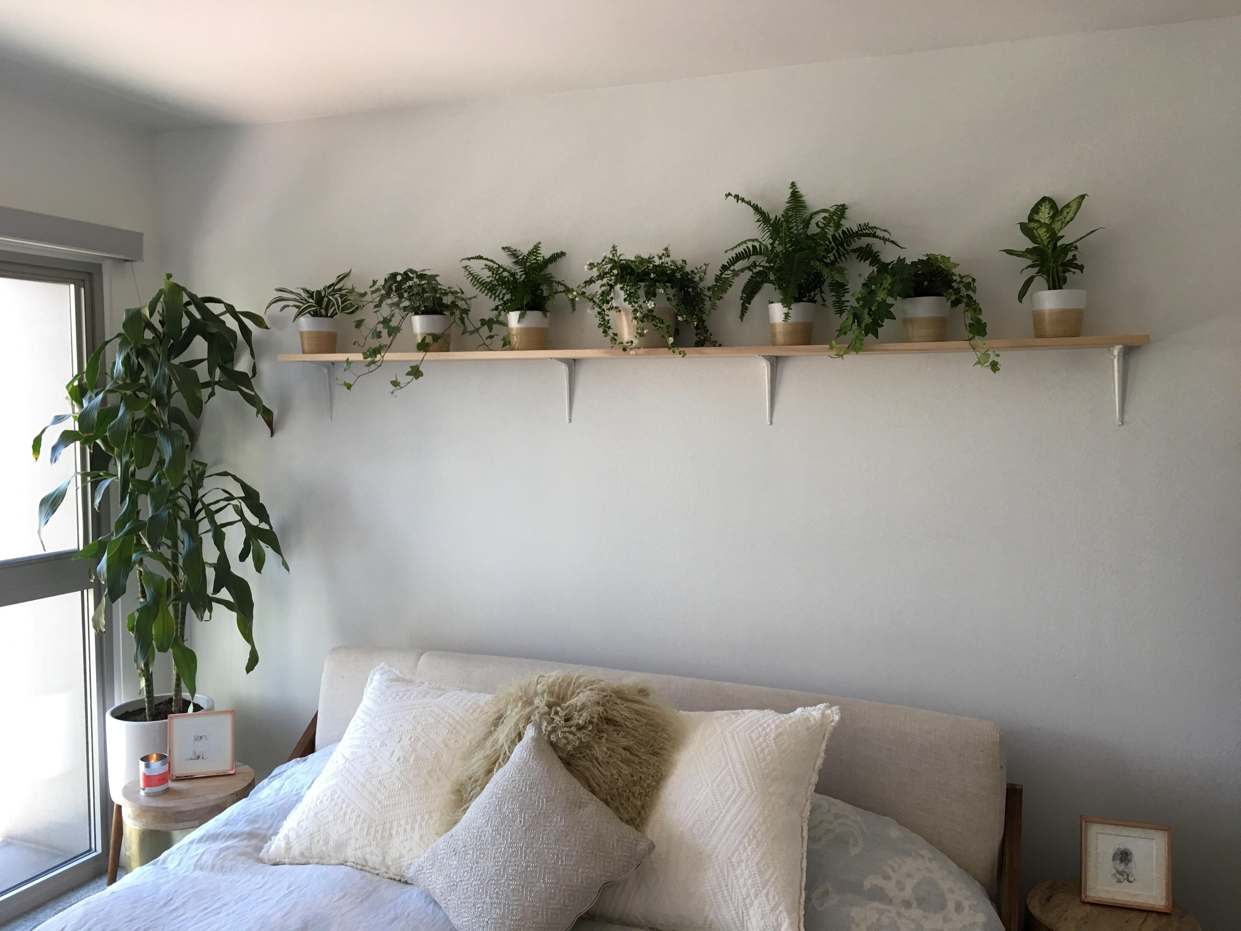 Built a plant shelf today. New bedroom is coming along. r/malelivingspace