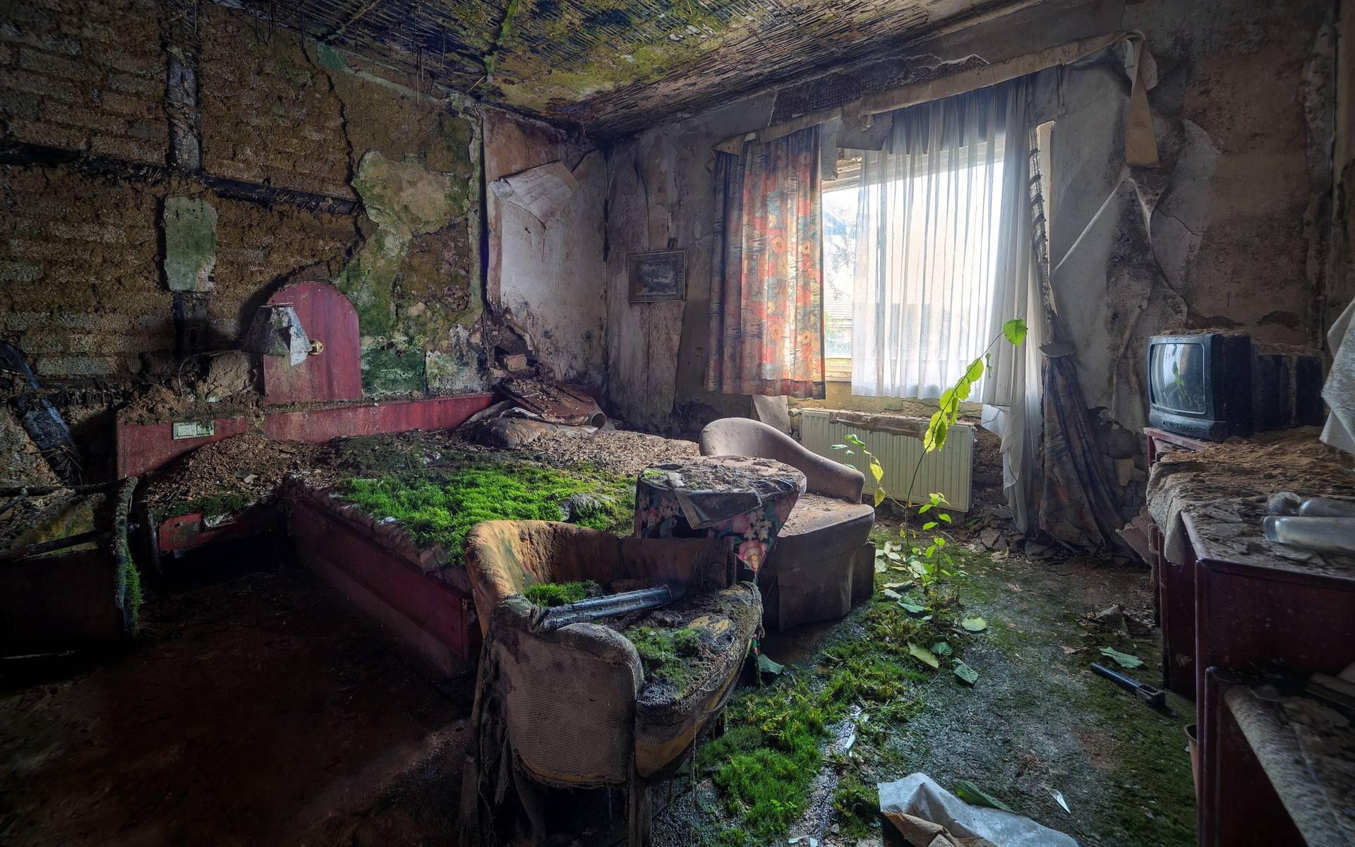 Abandoned house taken over by nature r/pics