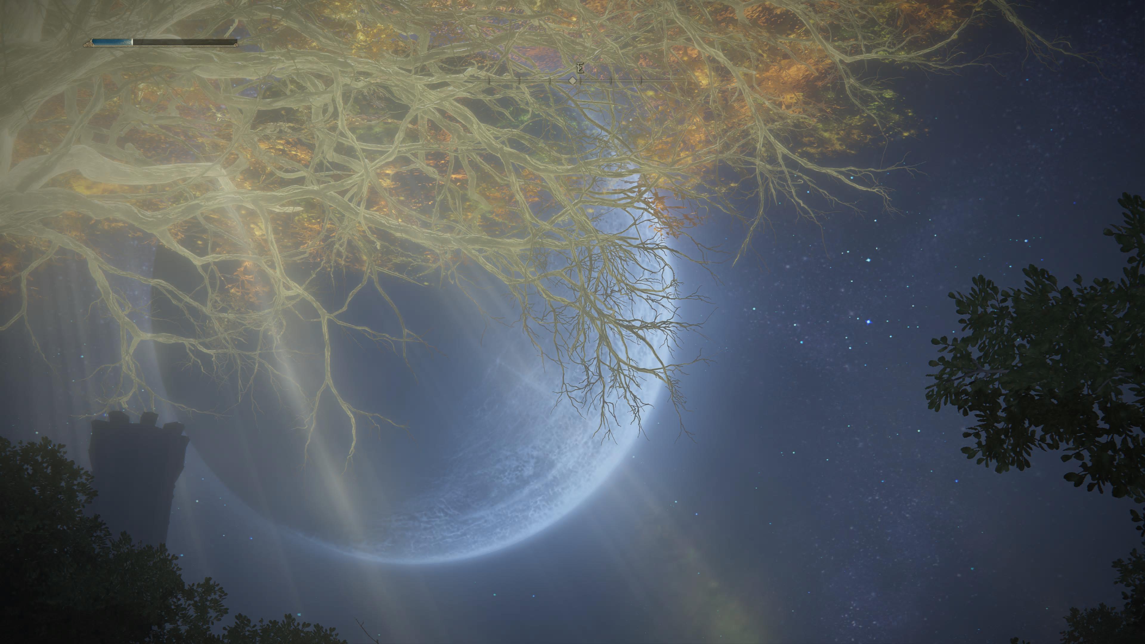 I wish Elden Ring had a photo mode, but the telescope will do. r