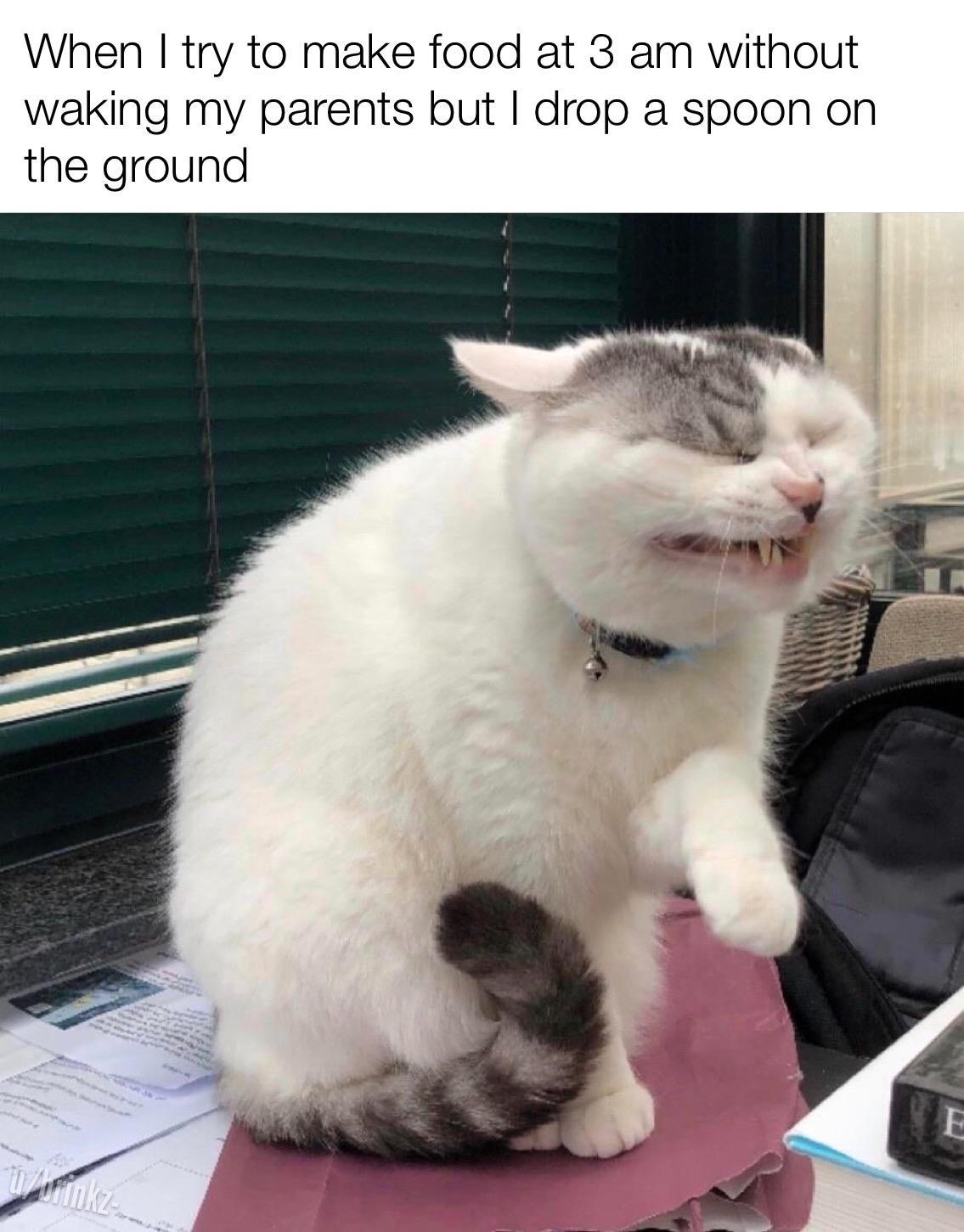 What Does It Mean When You Drop a Spoon? Food And Life Lover