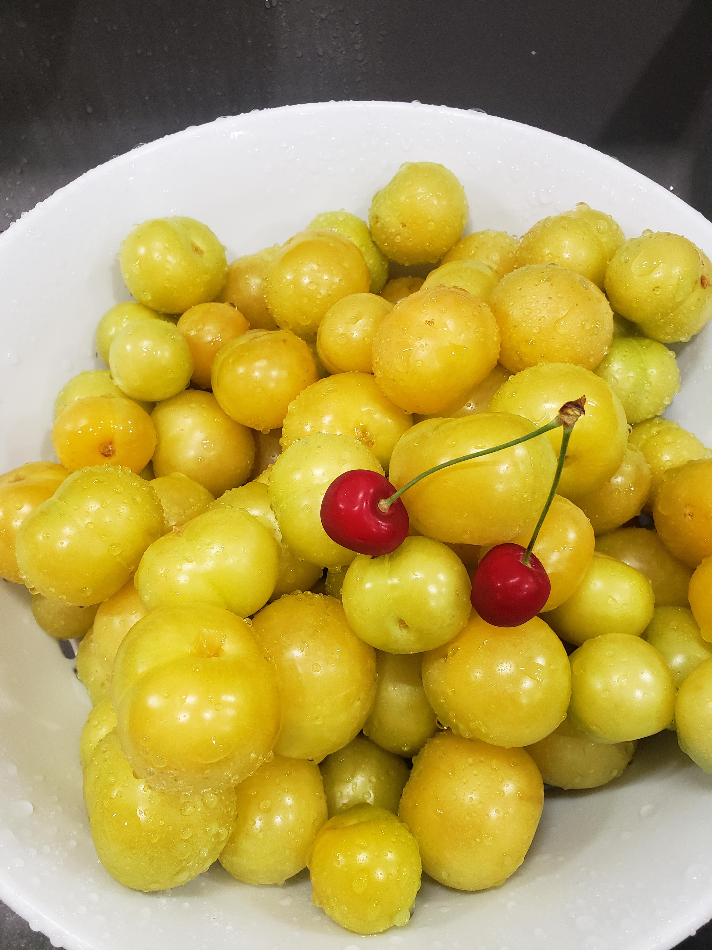 What is this fruit? Was told they're yellow cherries but the texture
