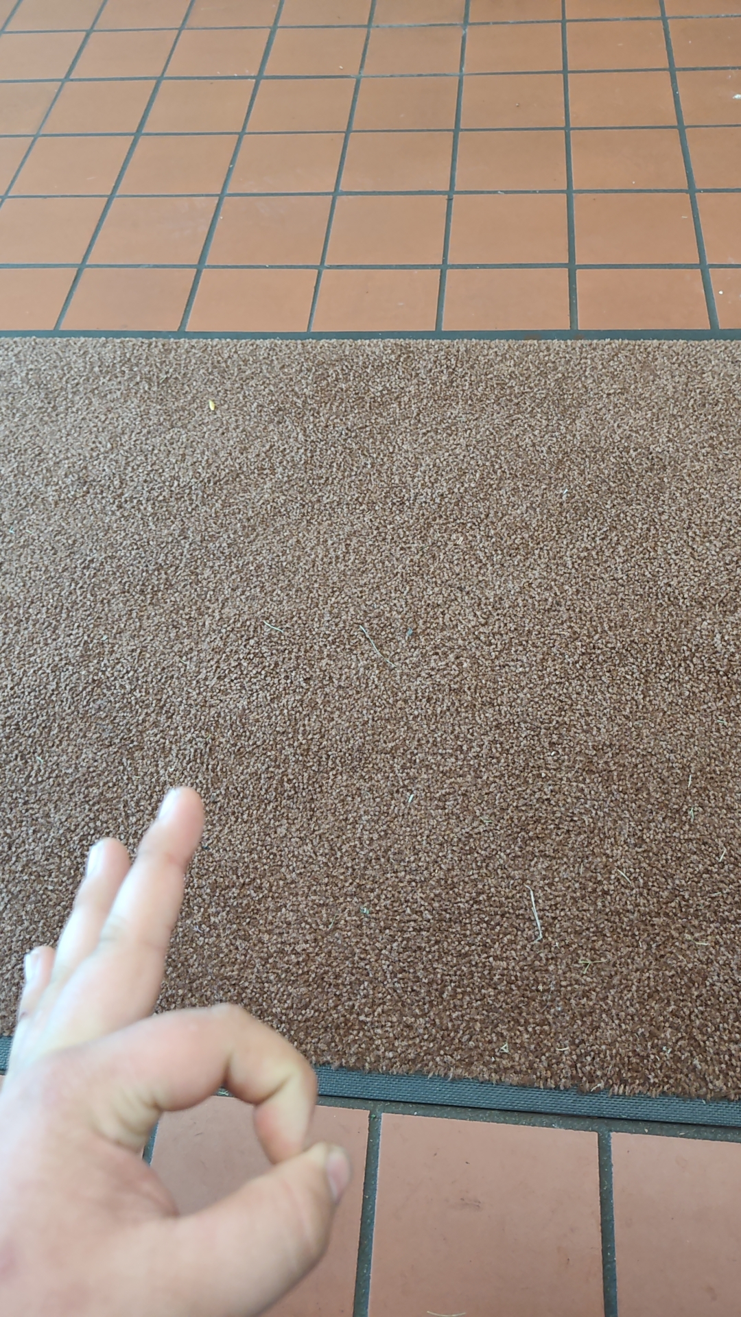 Get wreck + rug r/notinteresting