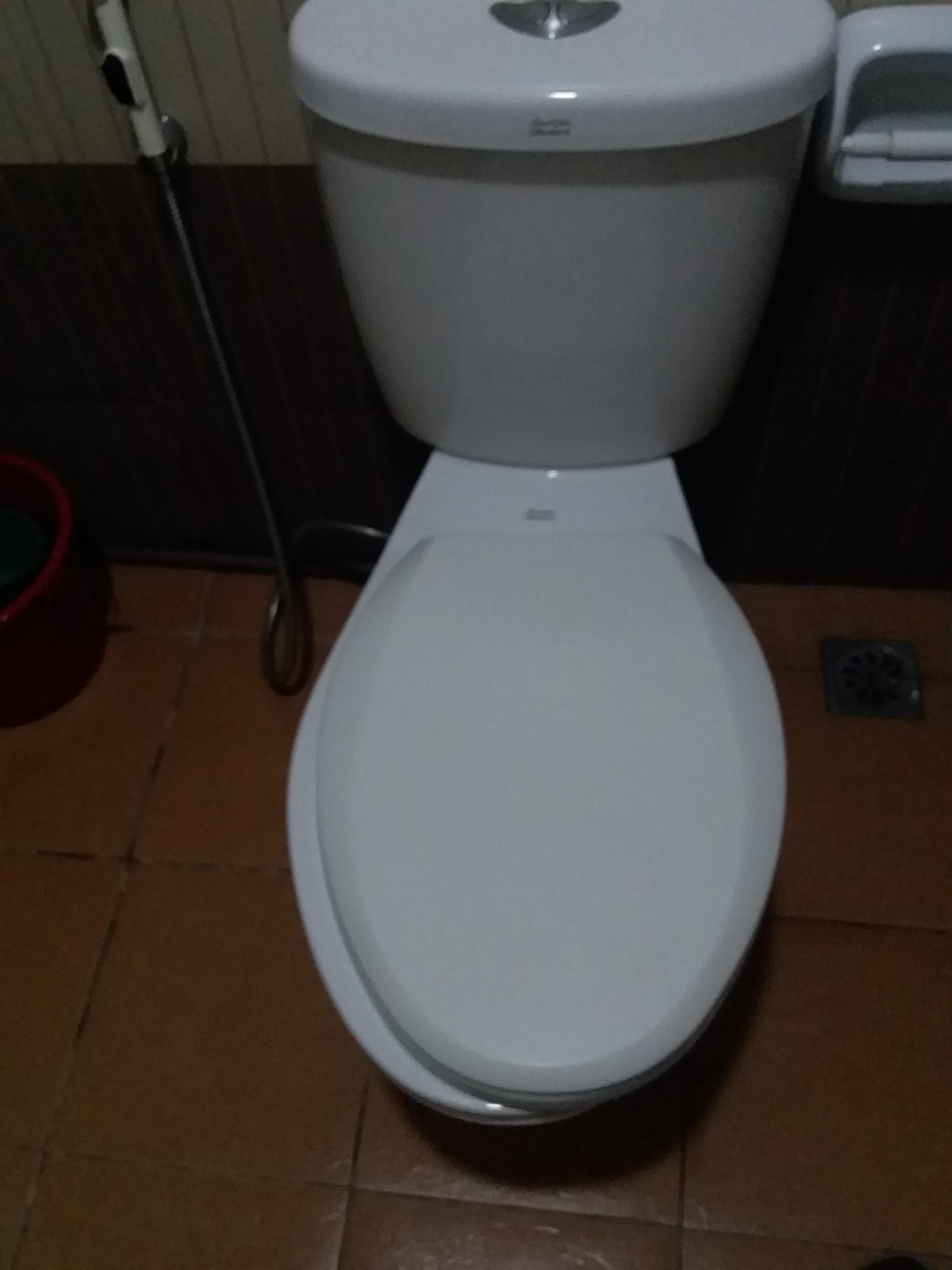 A crooked toilet seat r/mildlyinfuriating