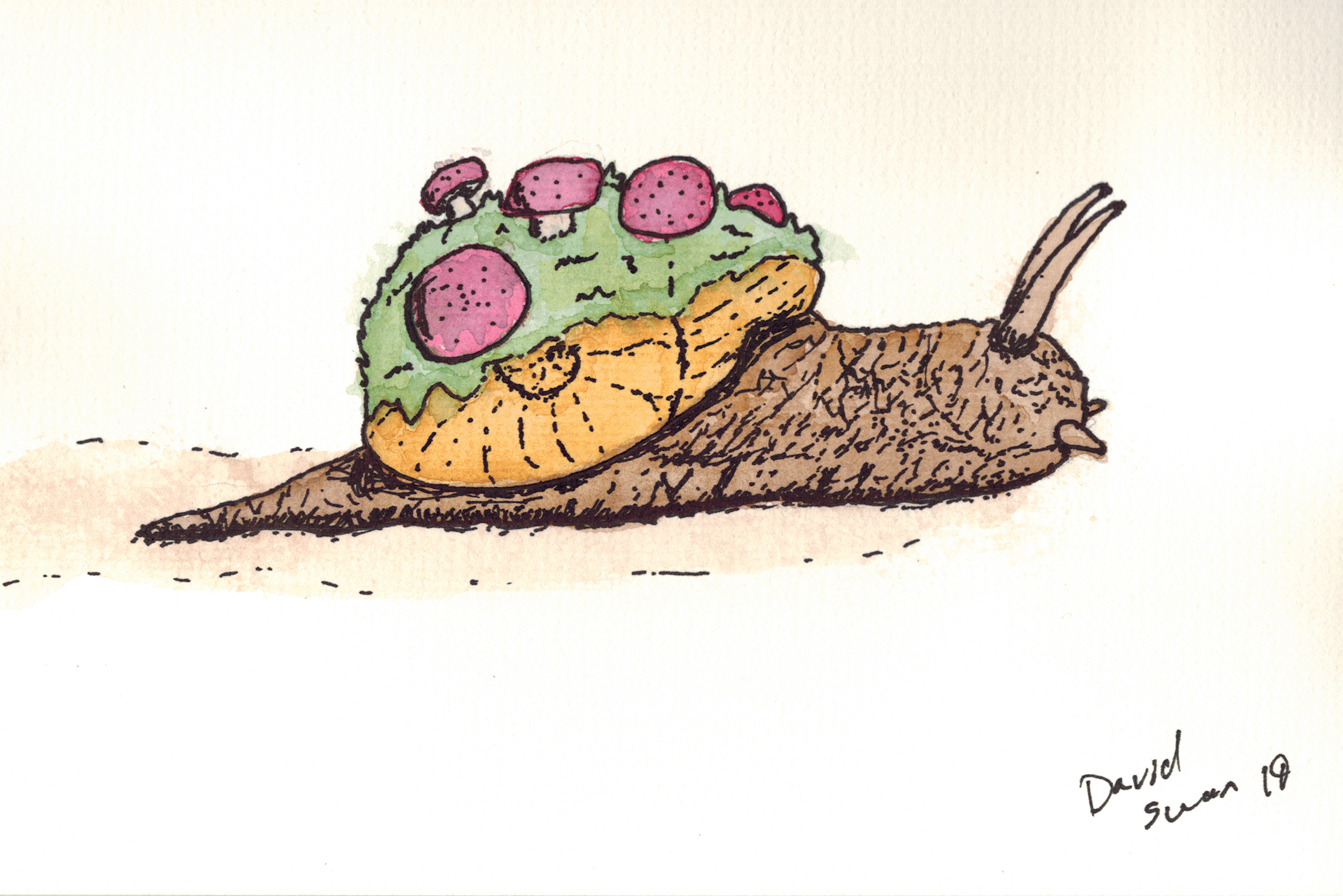 Snail with mushrooms Watercolor