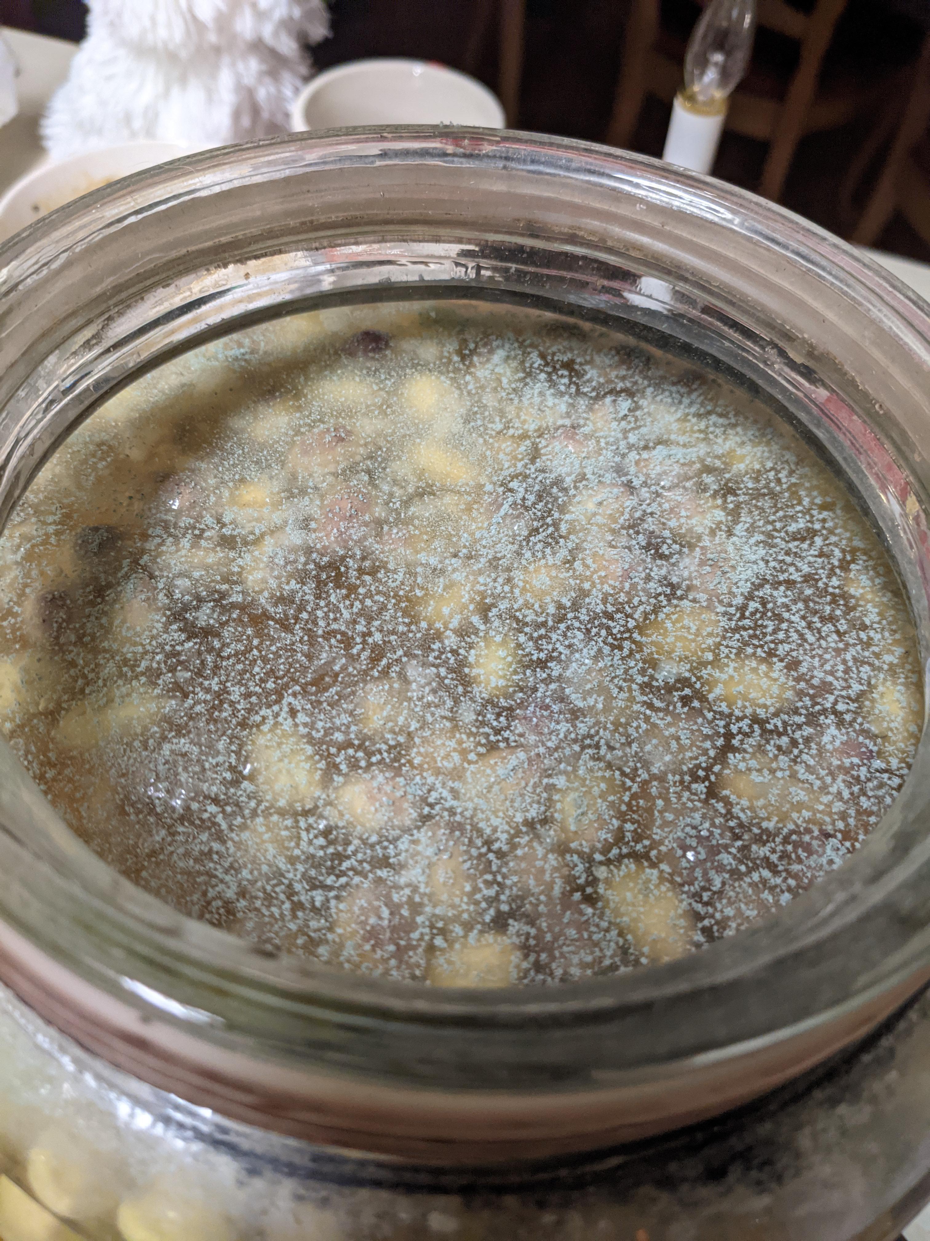 Switched my olive brine to straight water and now I have mold.... Is