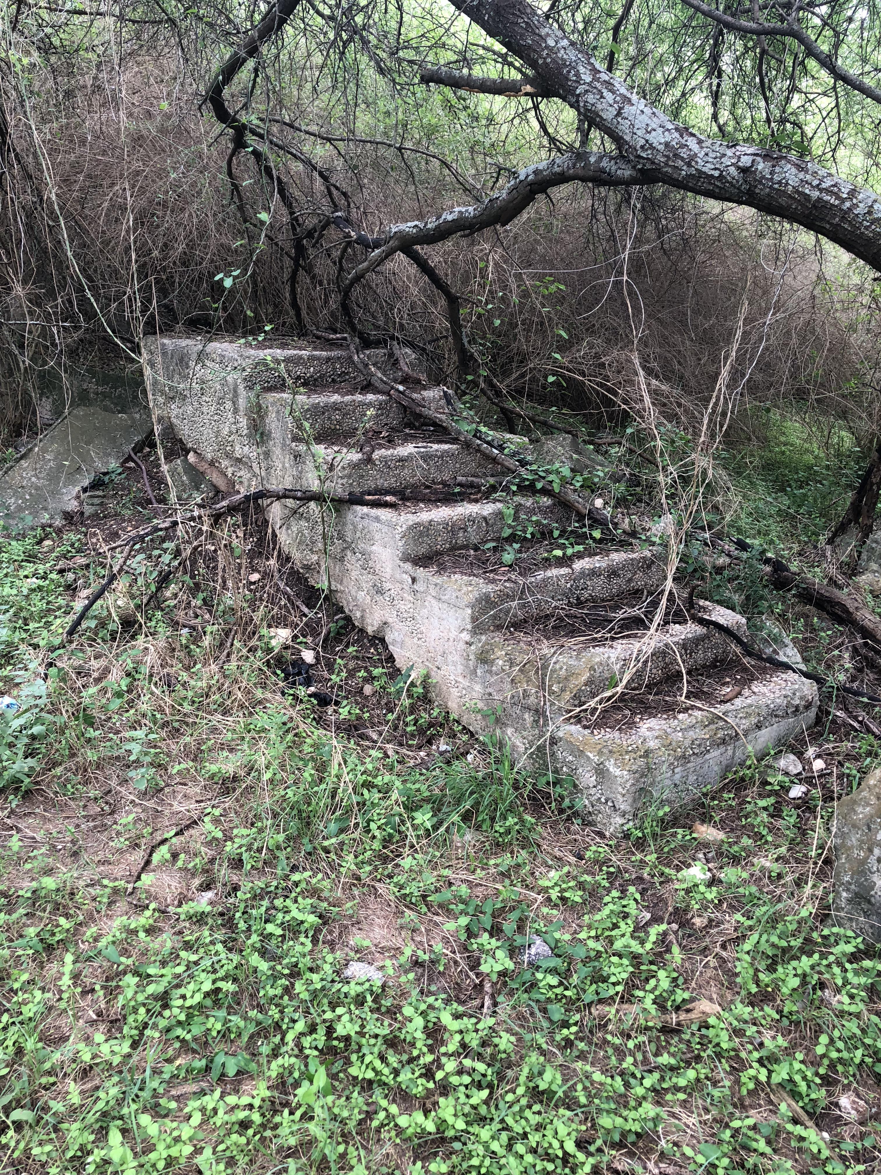 I found a staircase in the woods mildlyinteresting